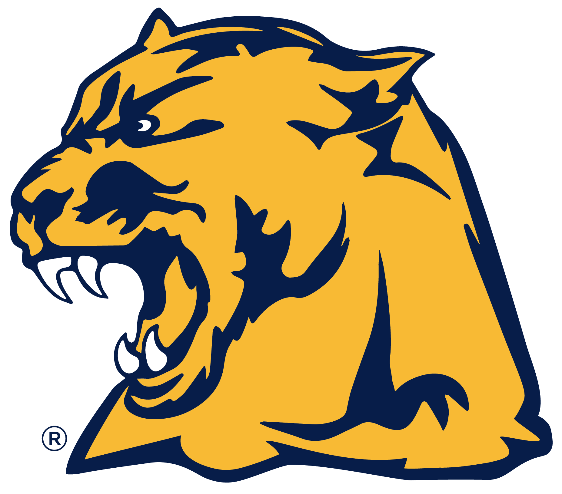 Whitmer Panthers Football