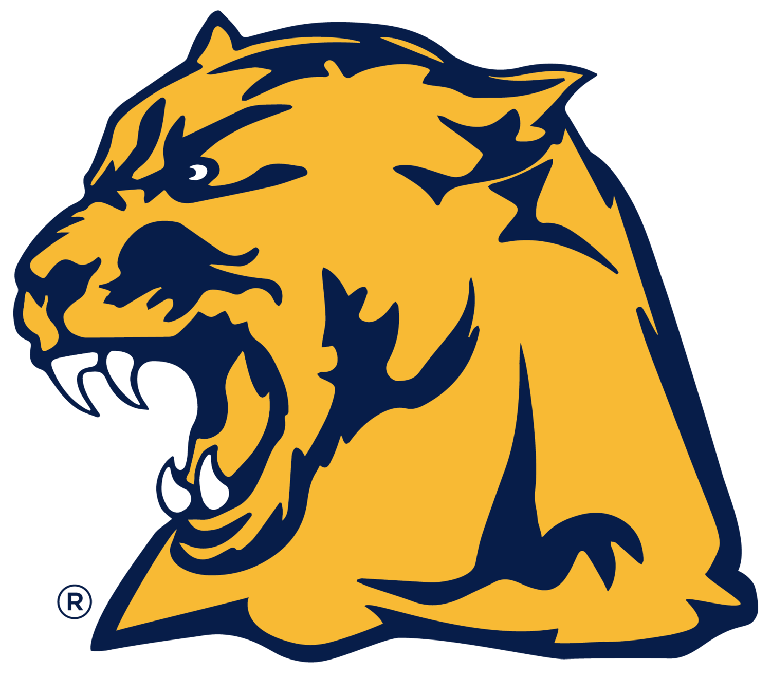 Whitmer Panthers Football