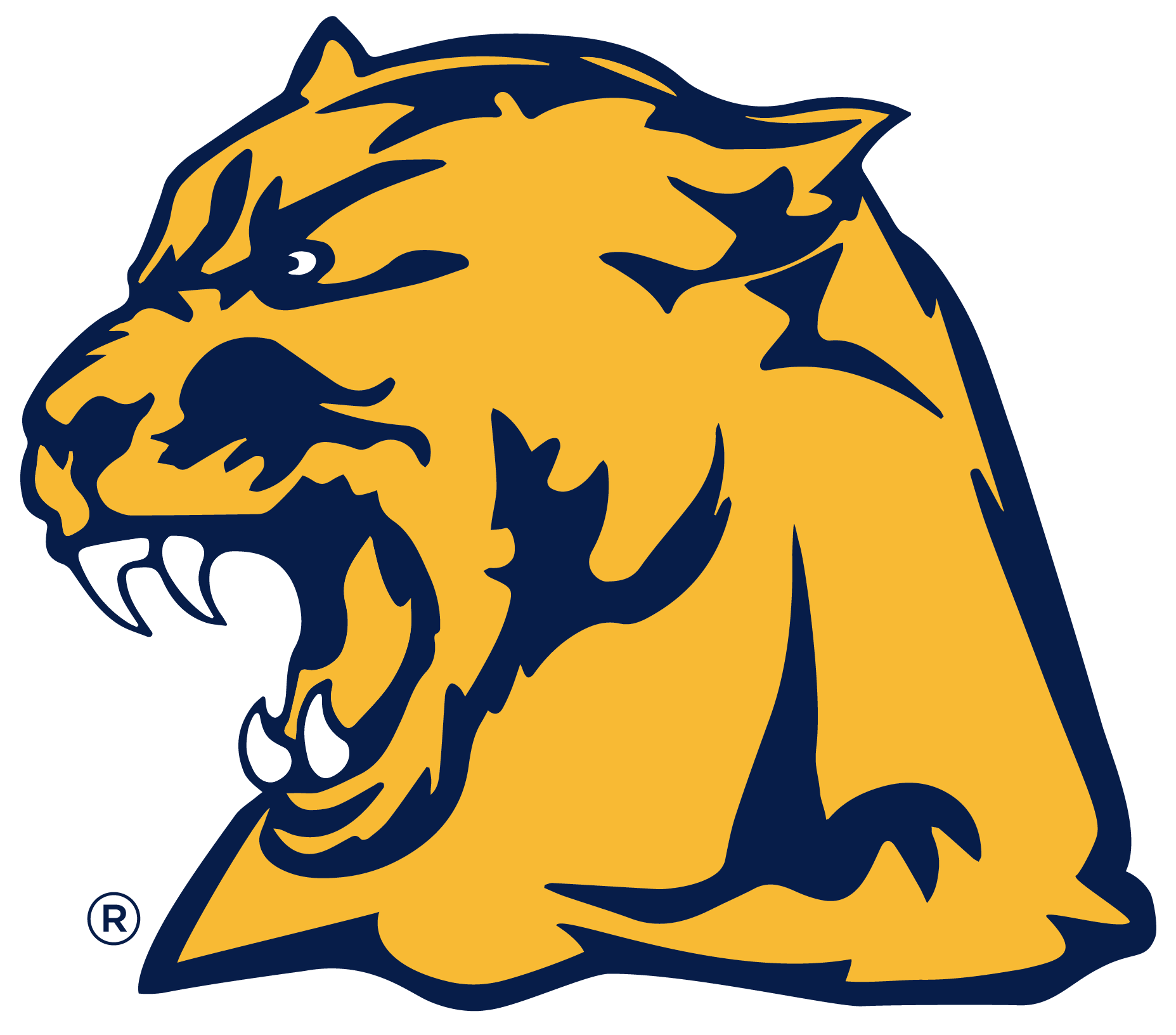 Varsity Whitmer Panthers Football