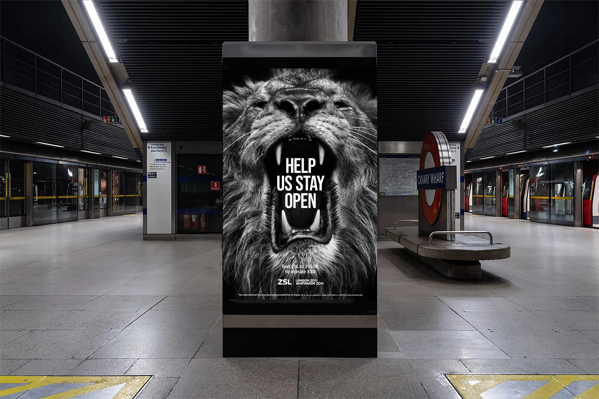 Lion_6_mockup.jpg