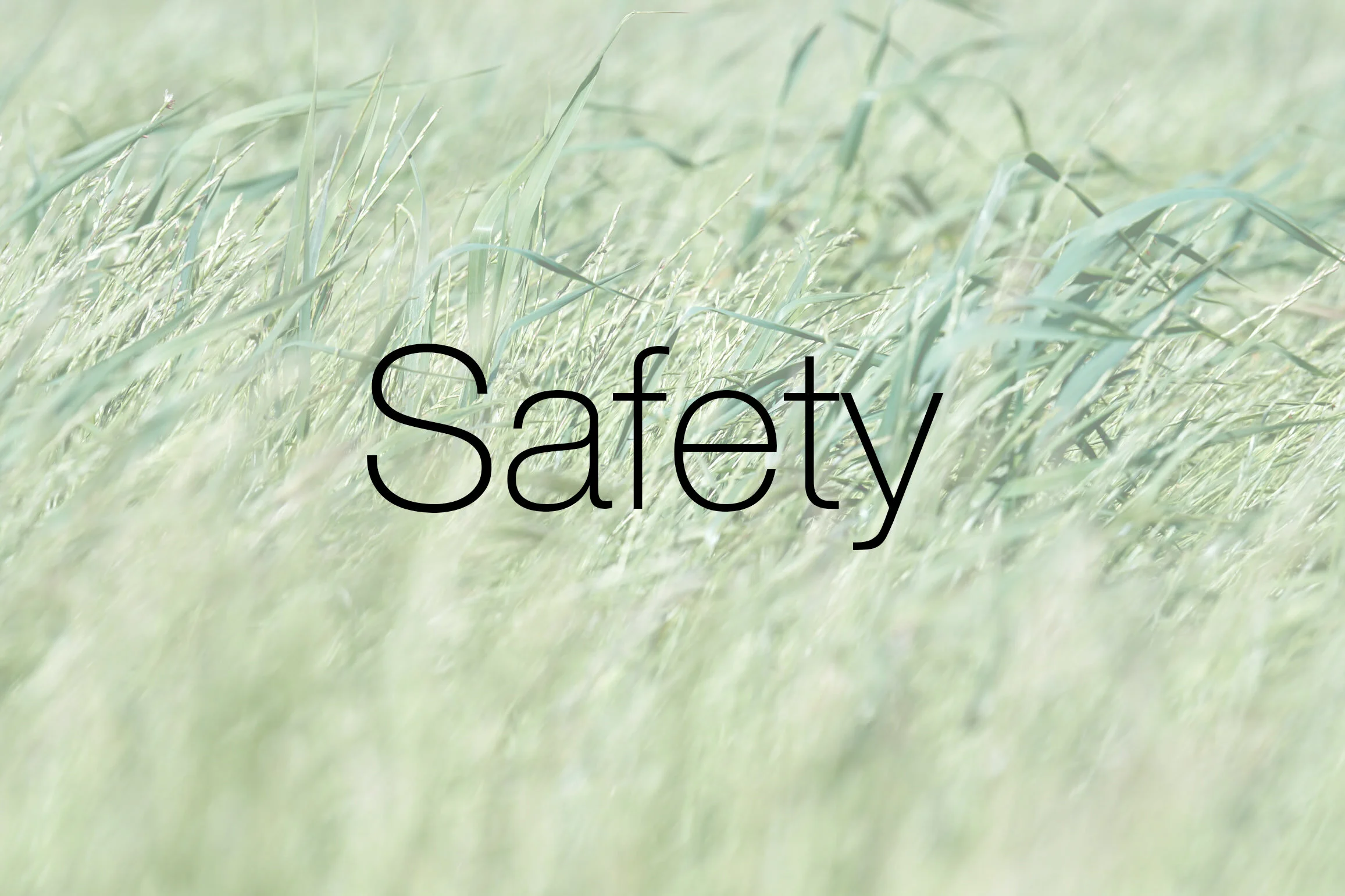 words safety.jpg