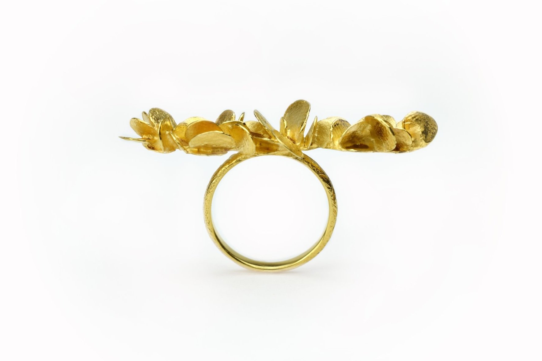 Grande bague succulente barre - La lueur de l'aube
