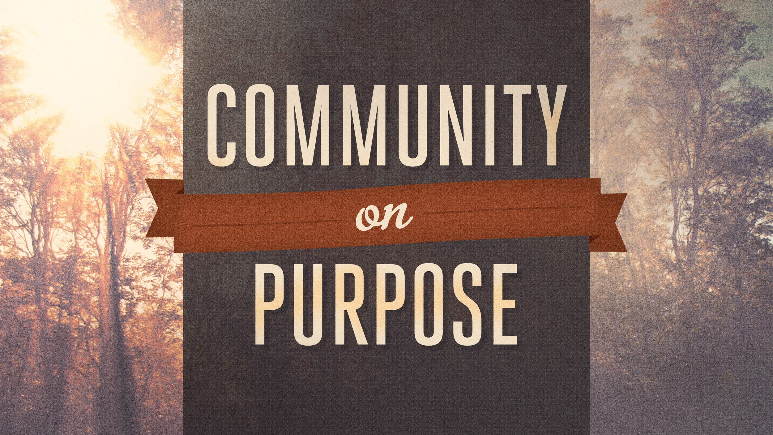 Community on Purpose