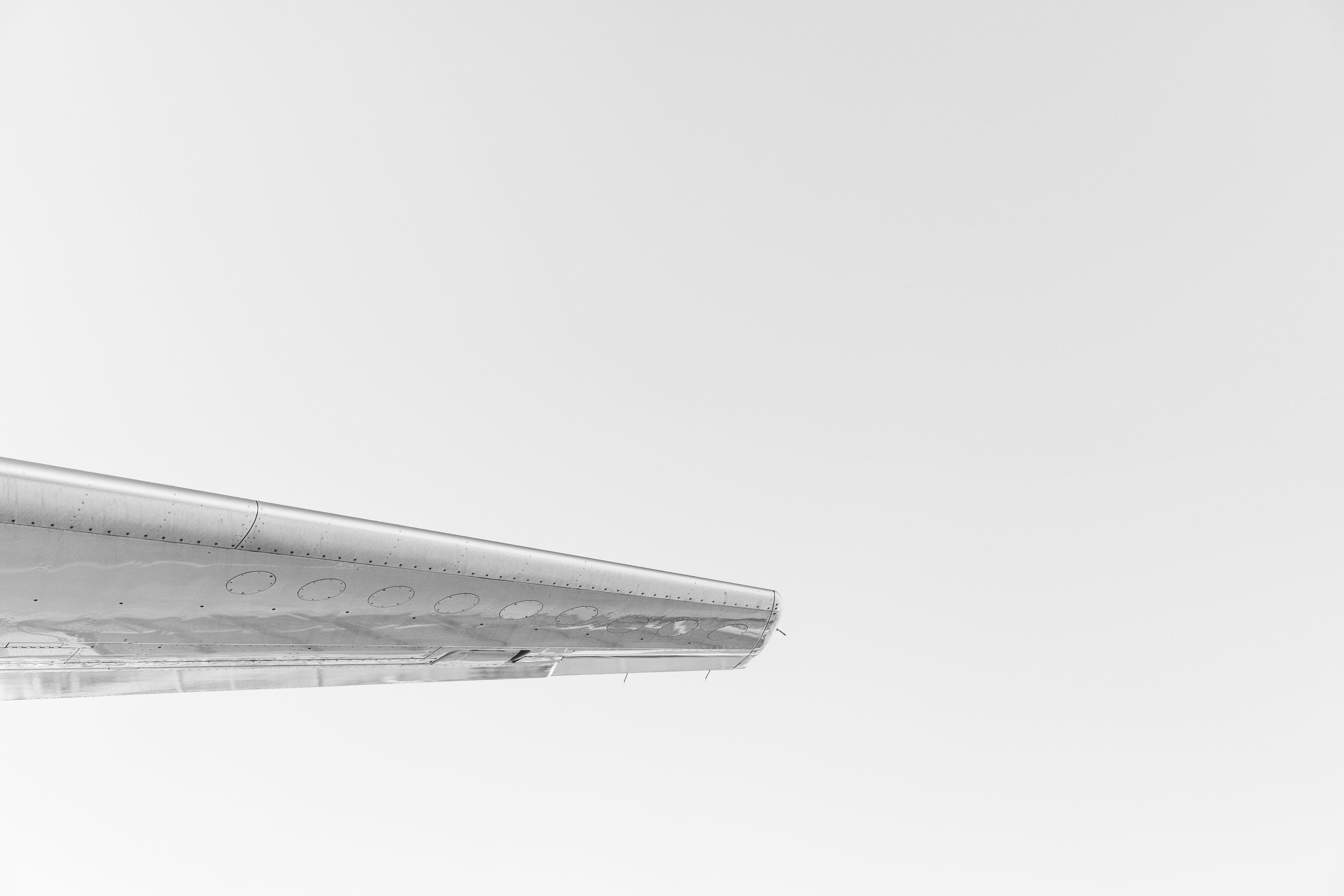 grey 4.jpg