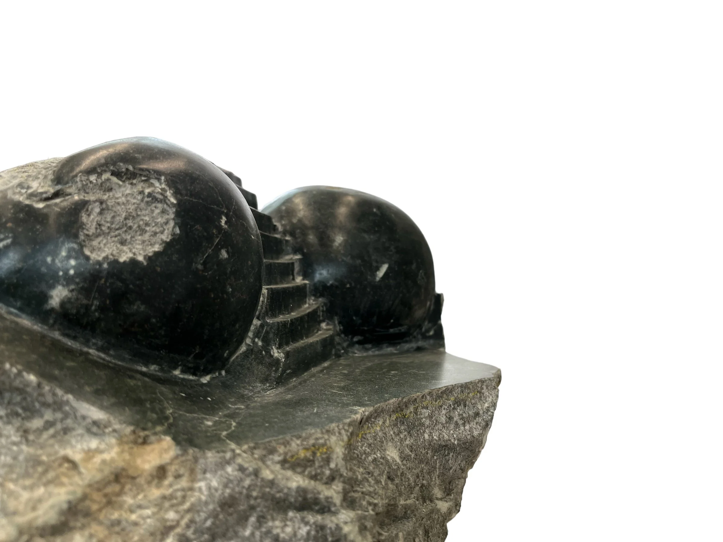 PhotoRoom_20230806_95916 PM.jpeg