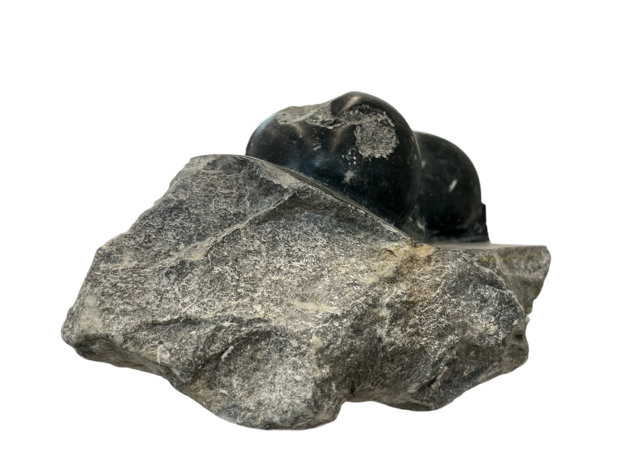 PhotoRoom_20230806_100022 PM.jpeg