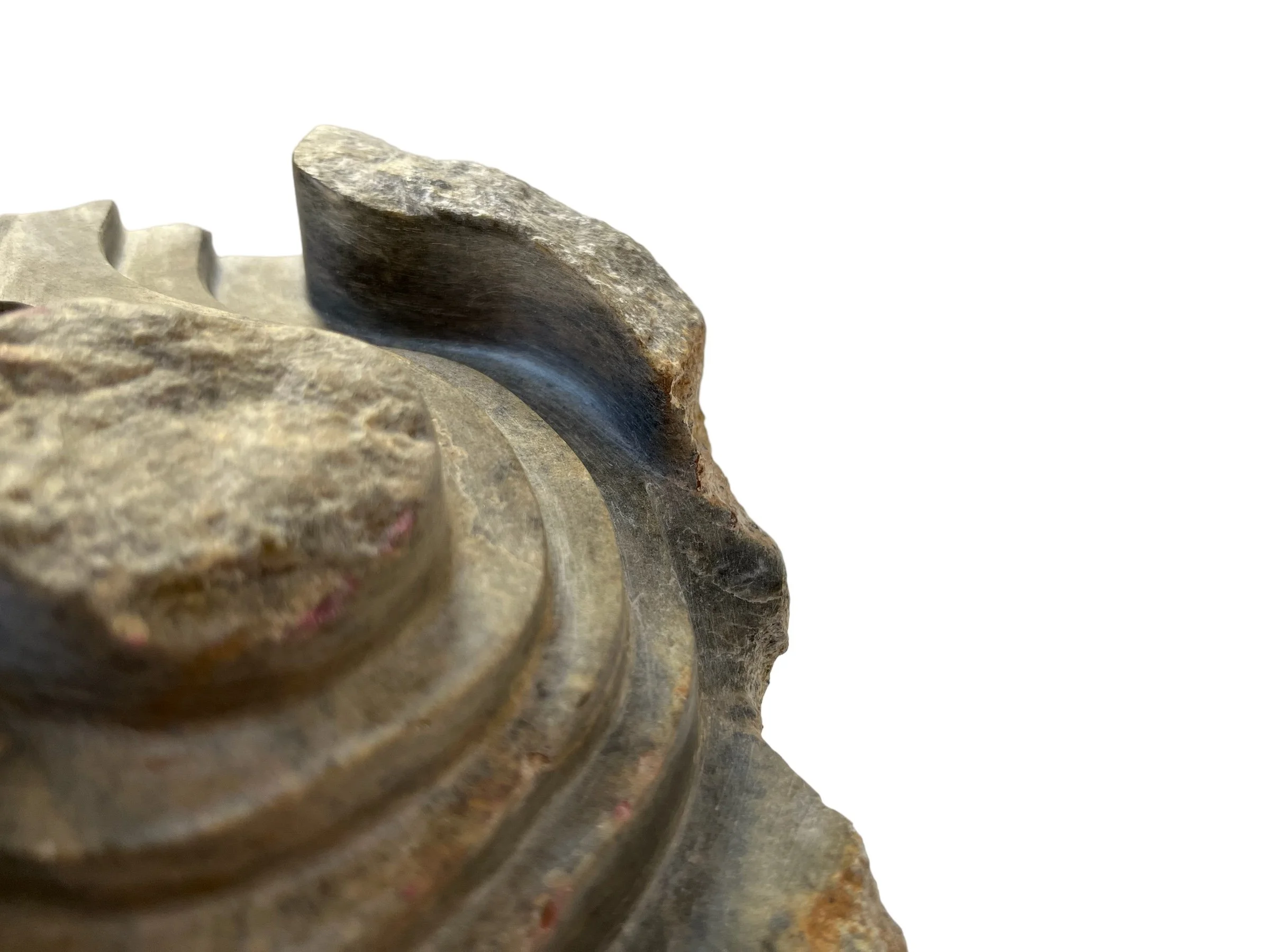 PhotoRoom_20230806_95619 PM.jpeg