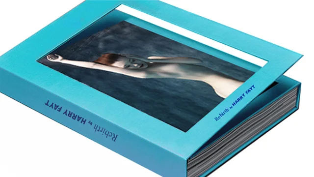 Presale of the first book by Harry Fayt