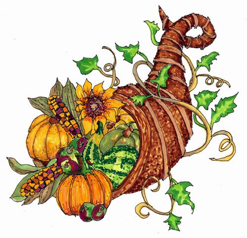 Published Article Illustration of Garden Harvest, Stephanie Sipp, Western North Carolina-002.jpg