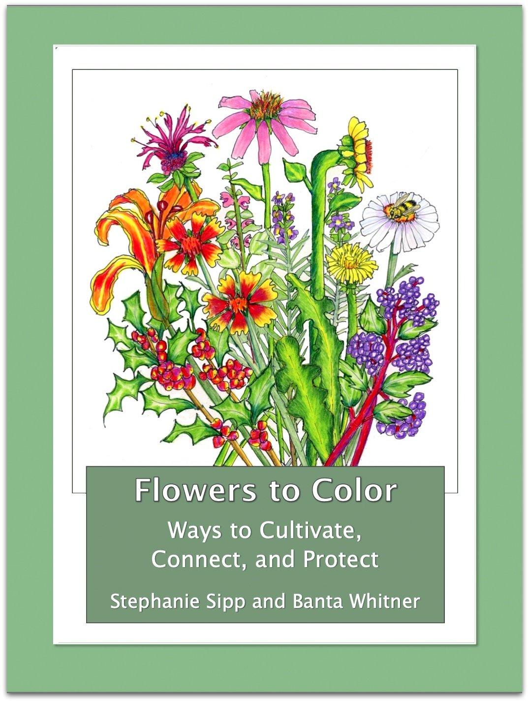 Flower Coloring Book by Illustrator Stephanie Sipp-002.jpg