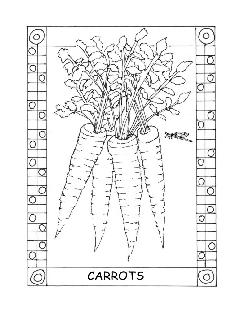 Garden and Color Carrots 2.jpg