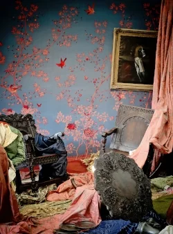 decorex.jpg