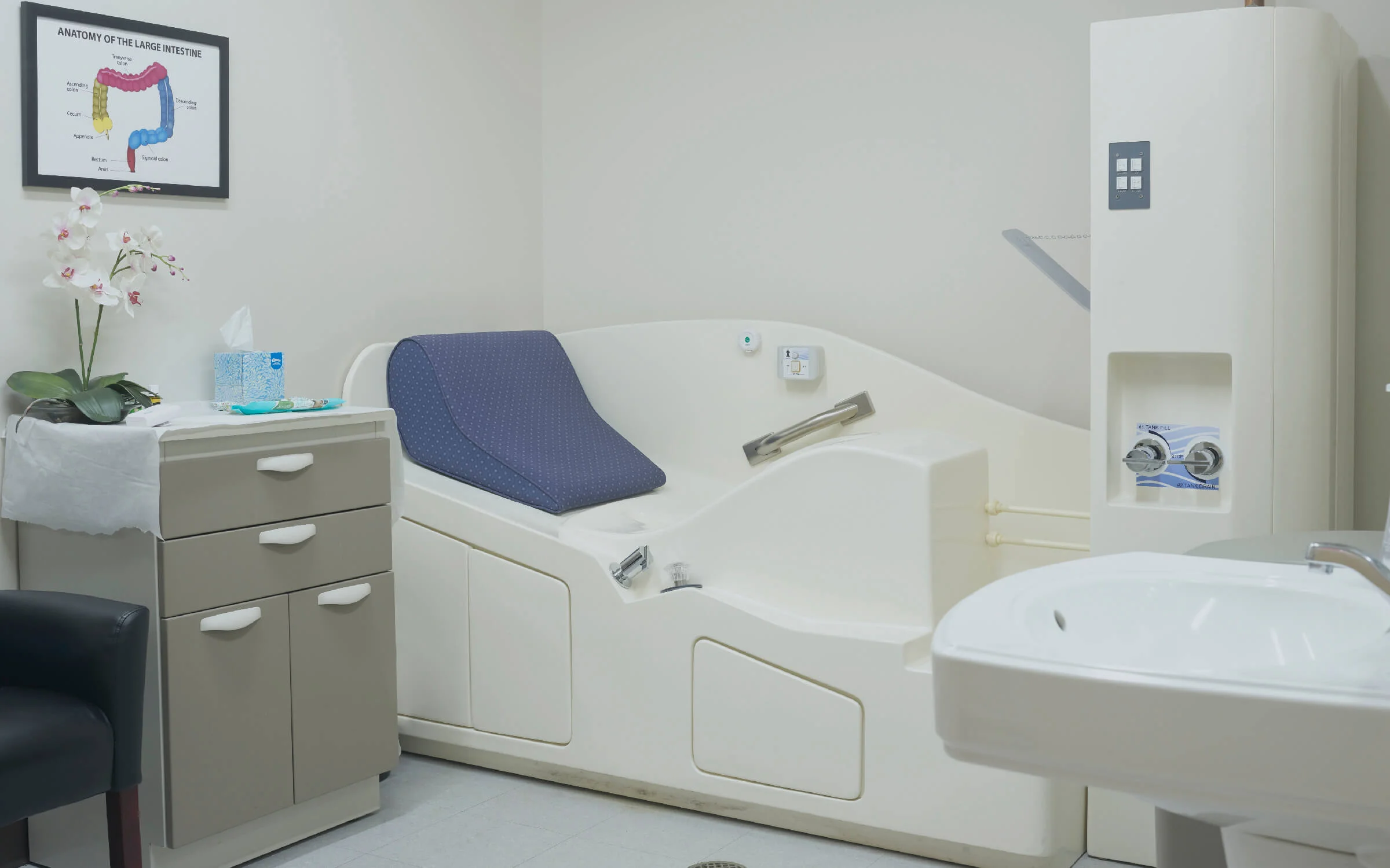 gedroic-colonic.jpg