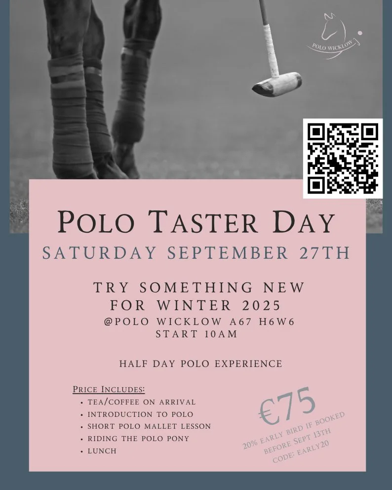 Polo Taster Day at Polo Wicklow