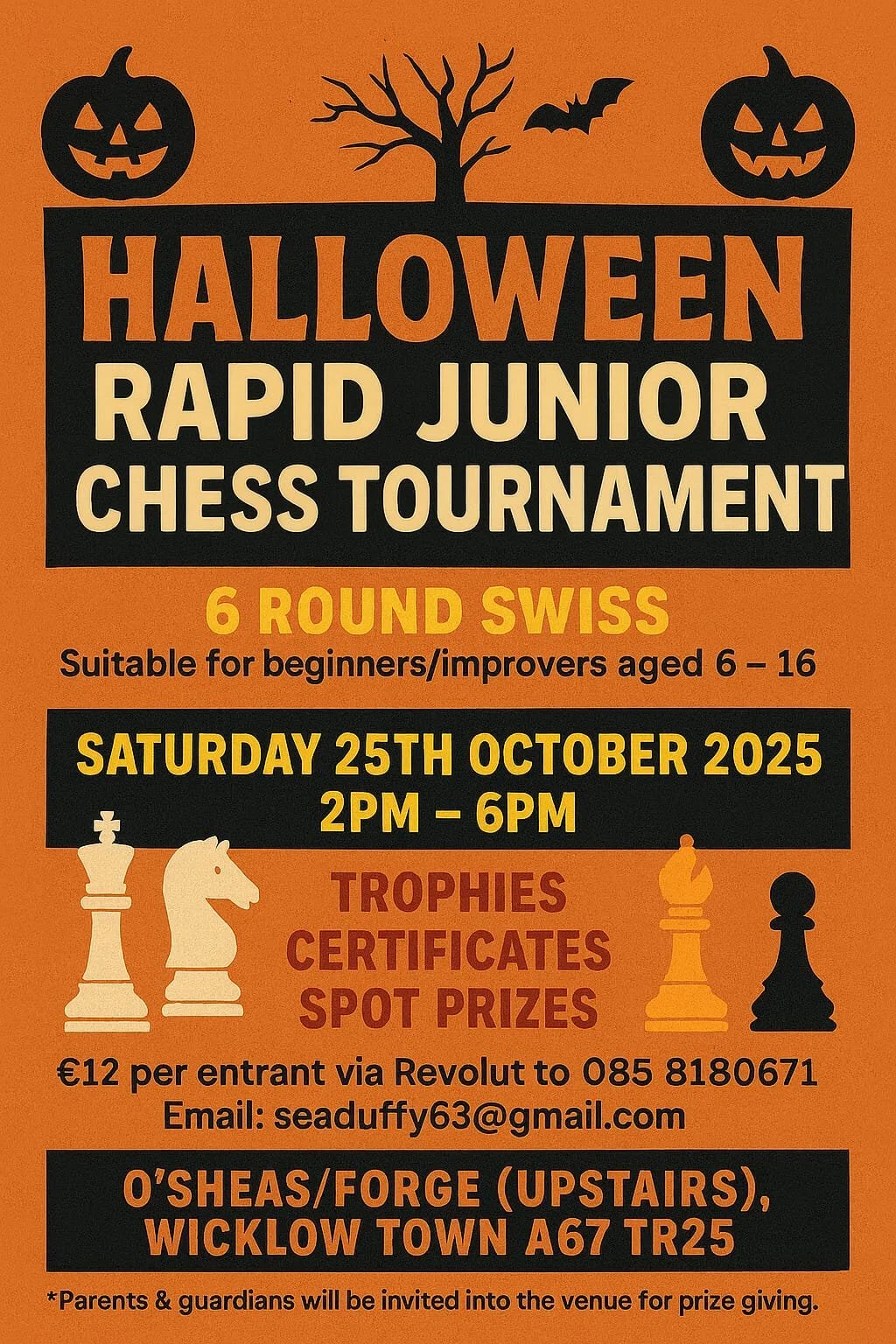 Junior Chess Tournament at O'Shea's Corner