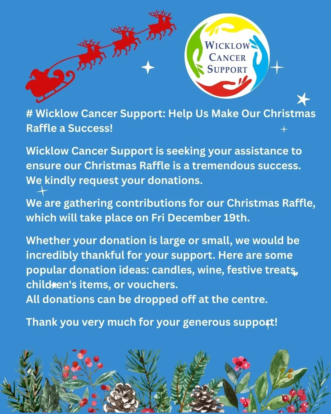 Wicklow Cancer Support Christmas Raffle