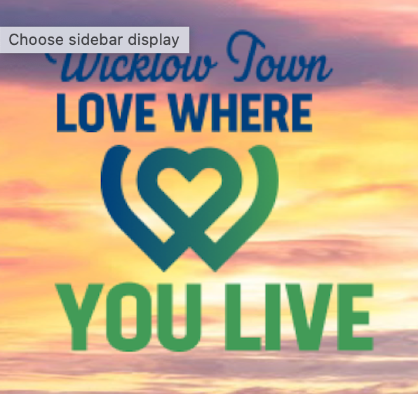Love Where You Live – Transition Year Workshops