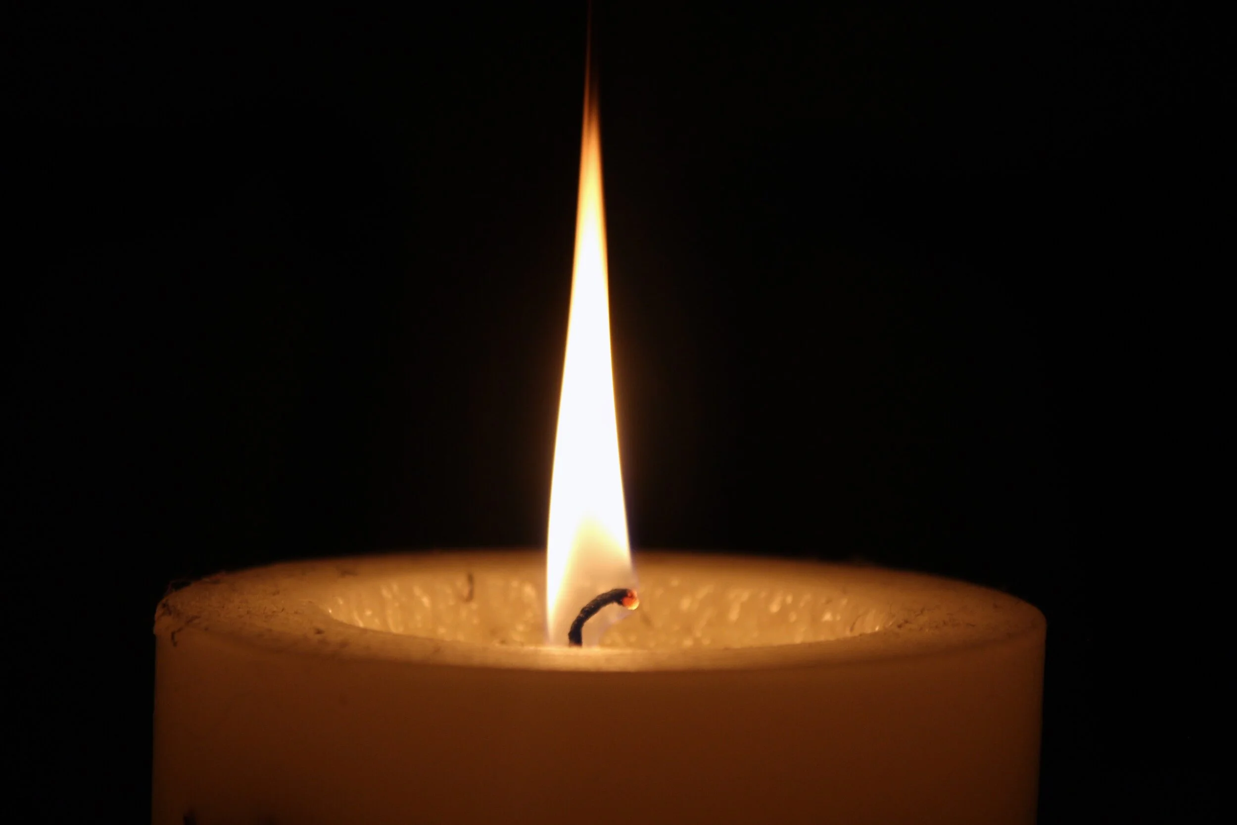 Help HMTC Light Up the Night!