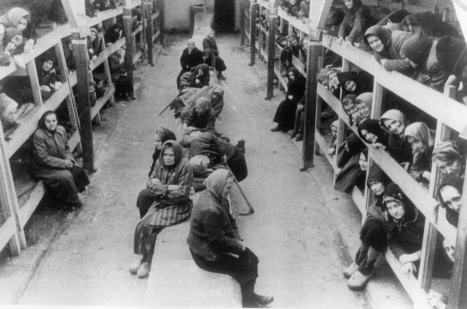 Curator’s Corner: Photographs from the Liberation of Auschwitz