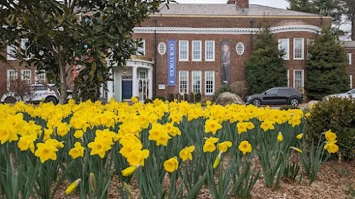 daff.jpg