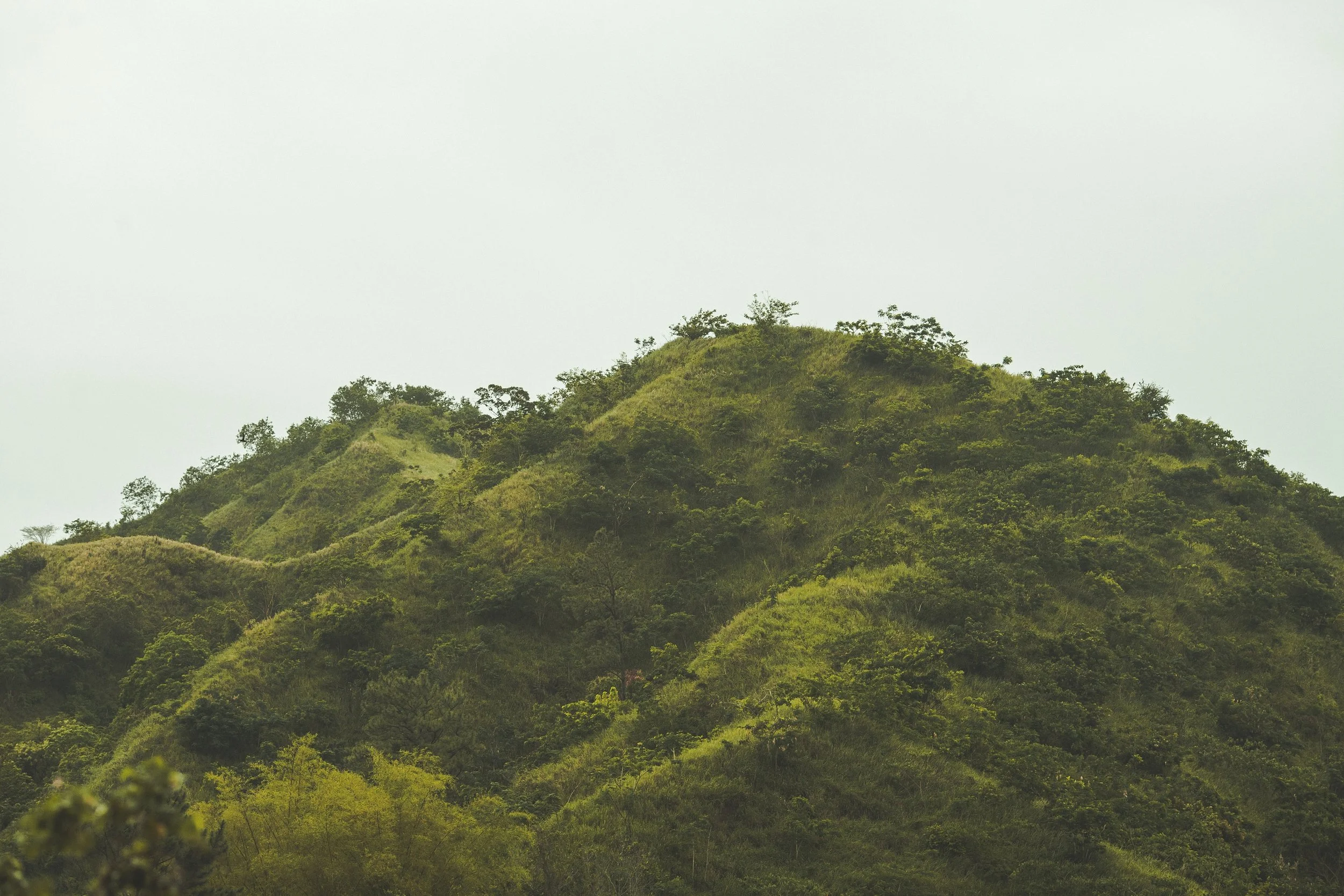 marc-babin-676159-unsplash.jpg