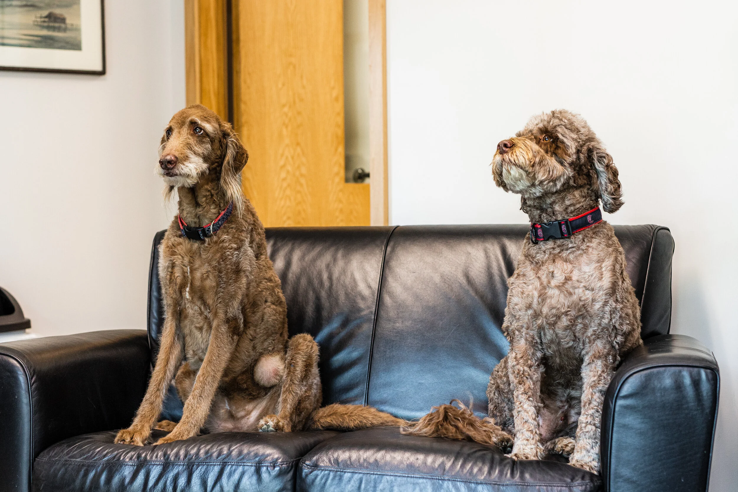 Gallery — Hylan Auto Sales & Service