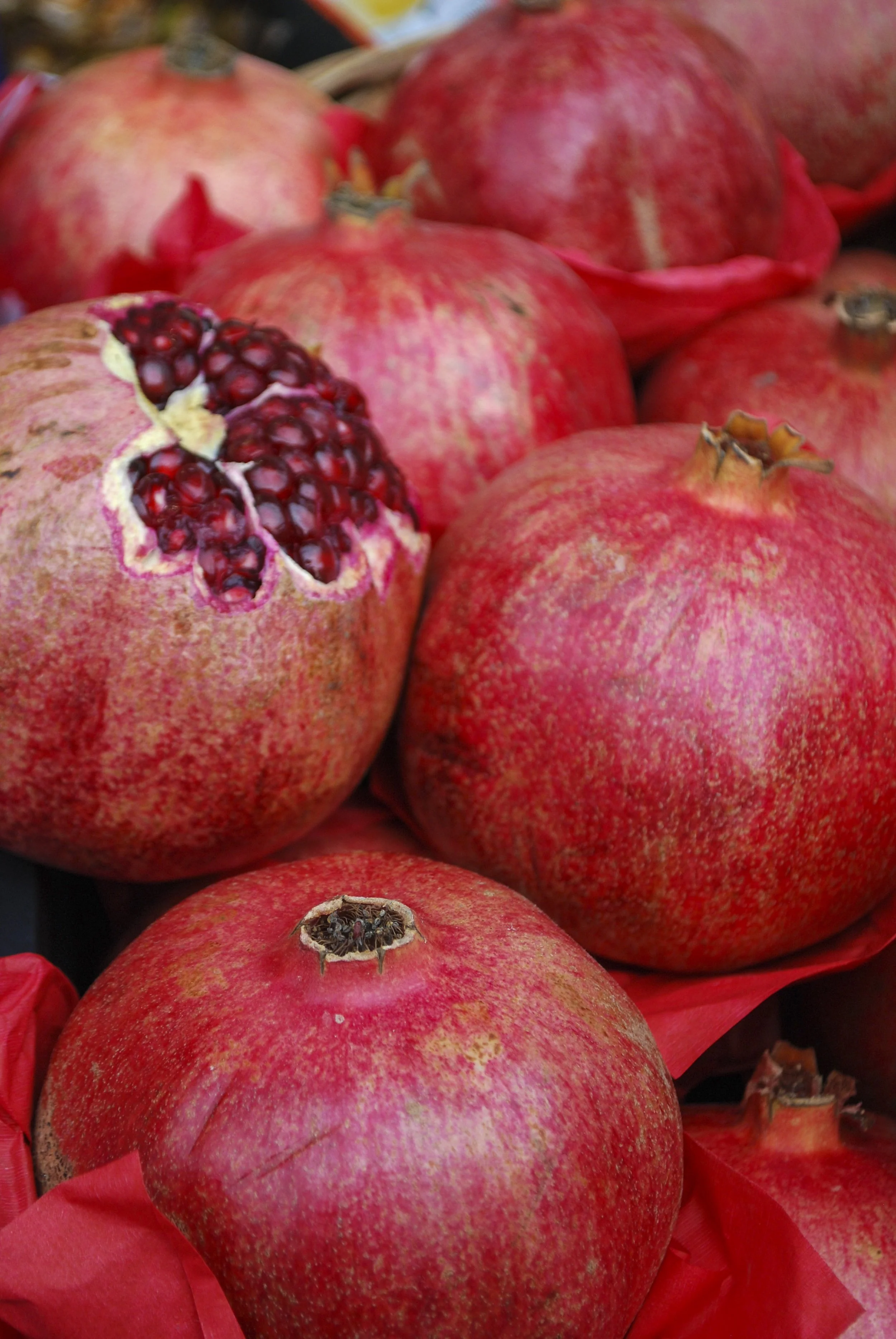 Pomgranate