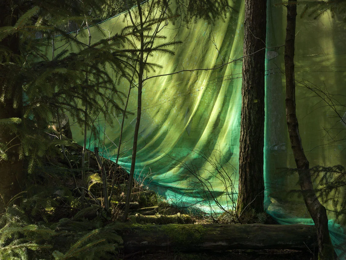 Helen Sear: Prospect Refuge Hazard 2