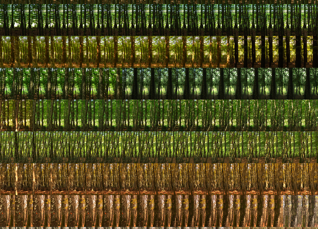 La Taille des Antes: 24 hours x 60 minutes 2008 (Detail) Pigment print; 110 x 150 cm Edition of 7