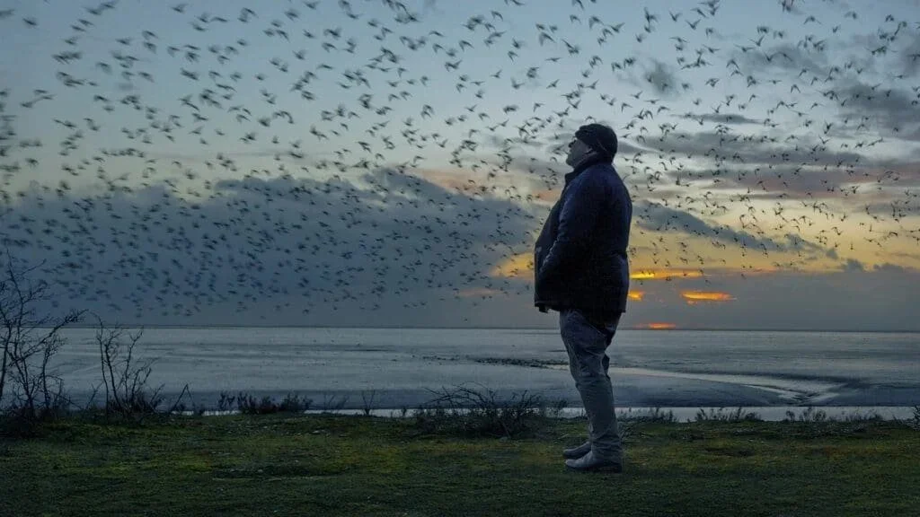 The-birds.jpg