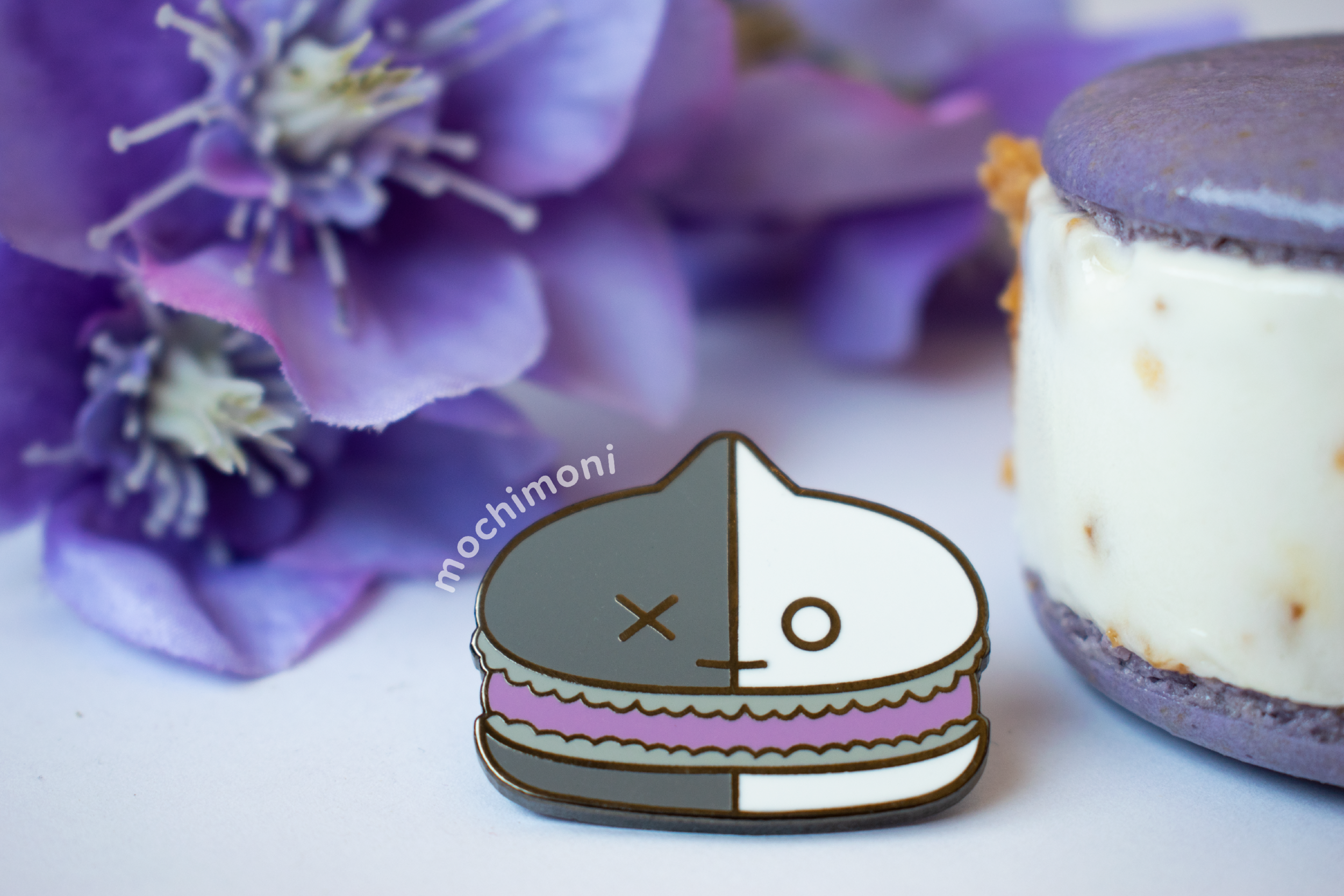 macaronvan_reg.png