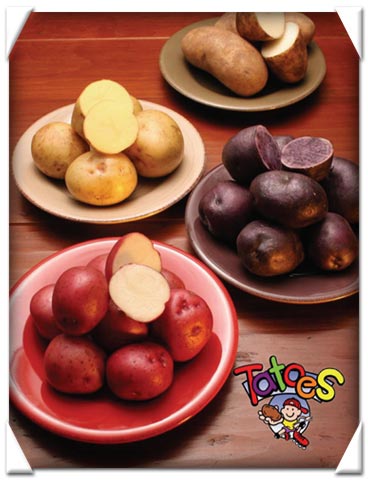product1.jpg