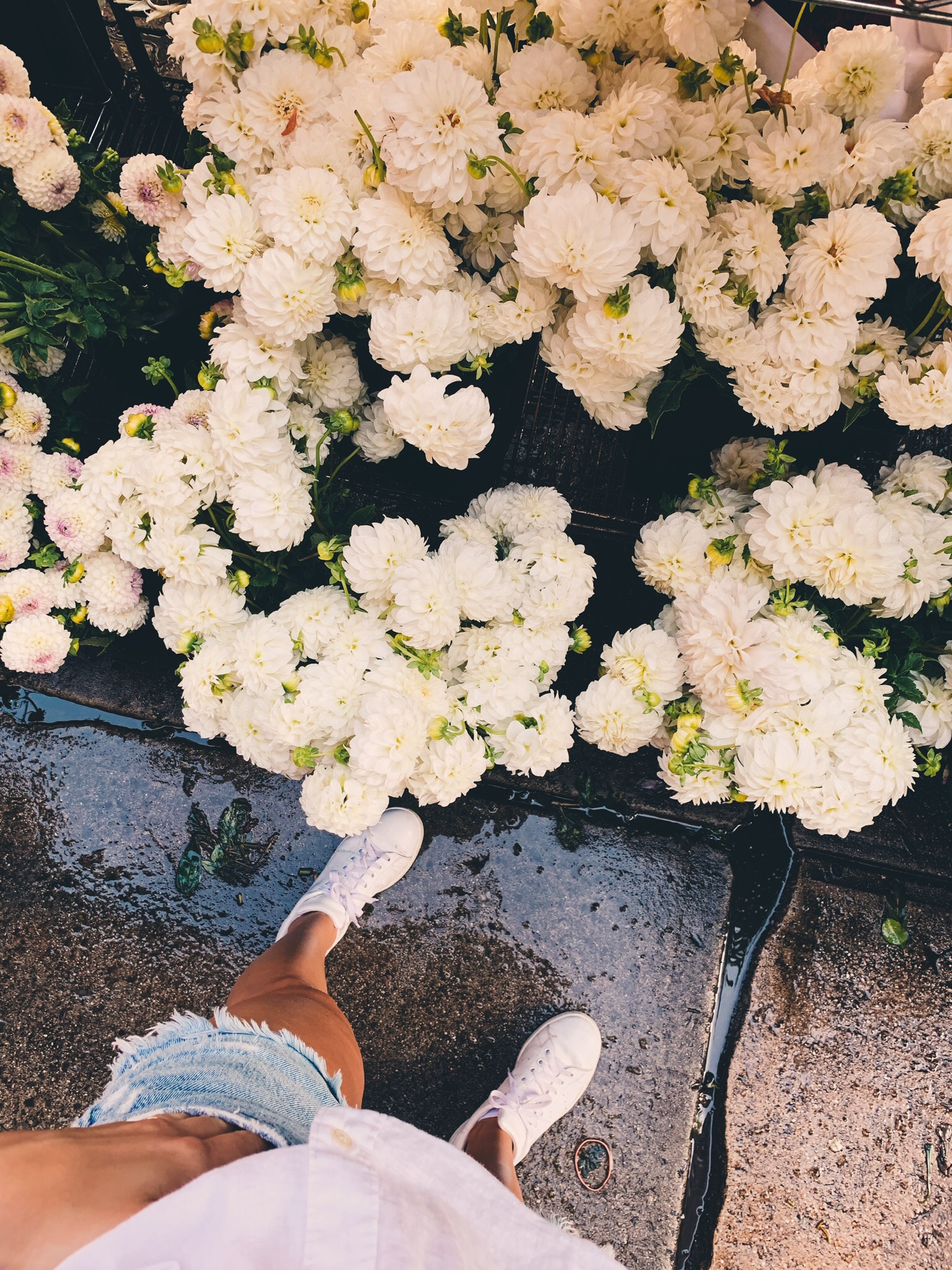 INSTAGRAM STORIES GUIDE