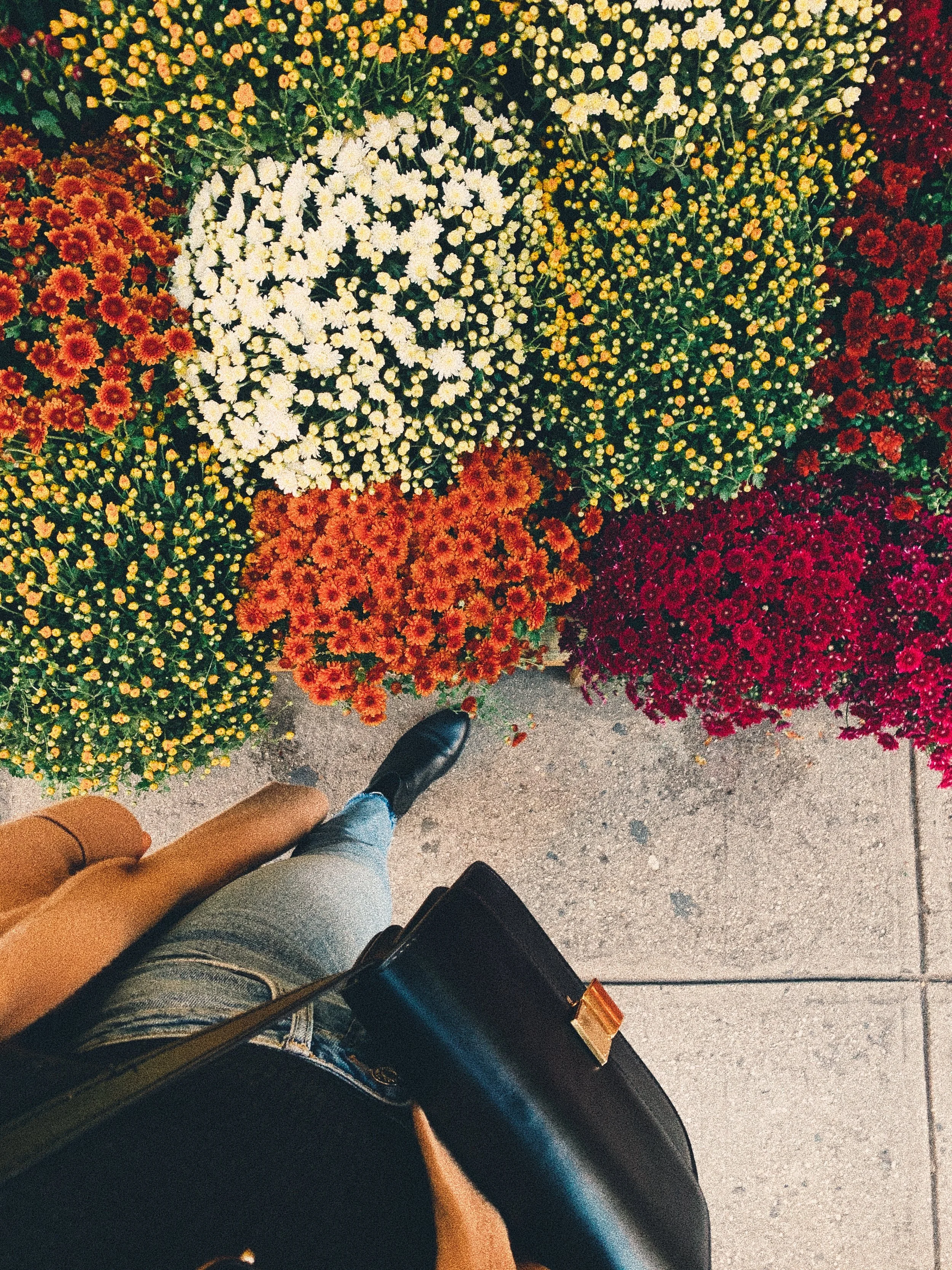 LOVE LETTER TO NEW YORK NO. 6