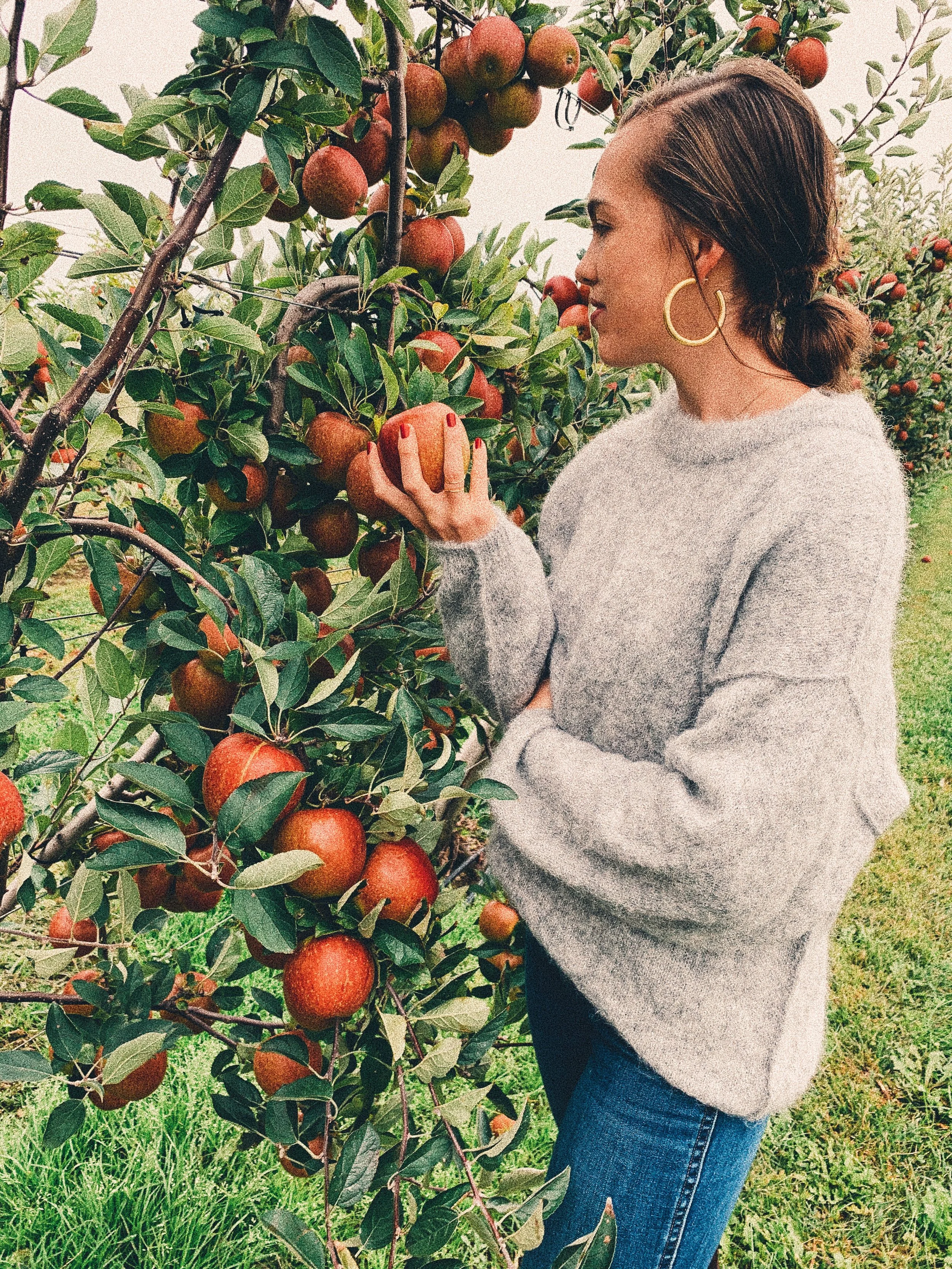 LOVE LETTER TO NEW YORK NO. 7 + FALL IN THE HAMPTONS