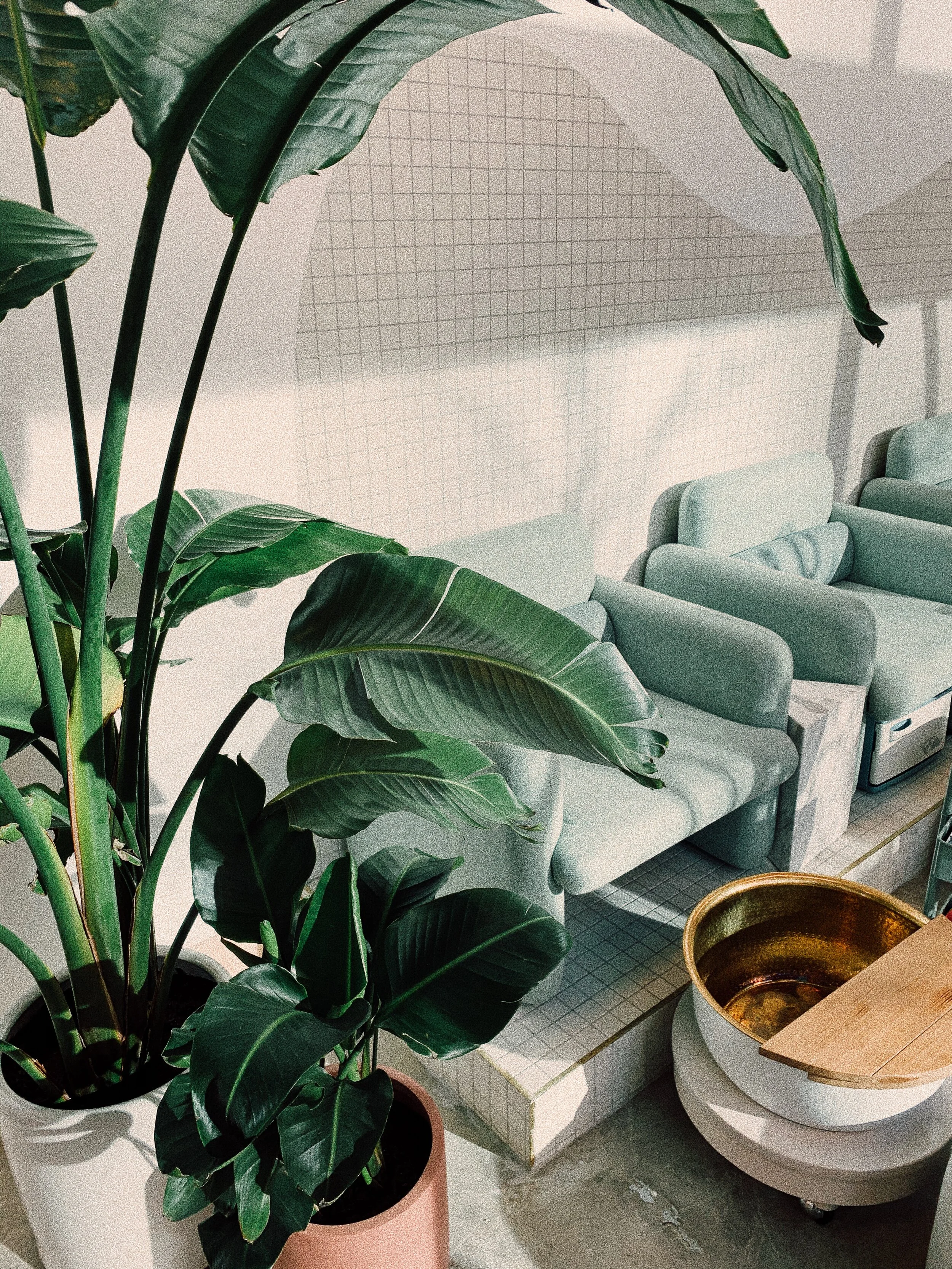 NYC GUIDE TO WELLNESS: BEAUTY, SELF CARE, FITNESS