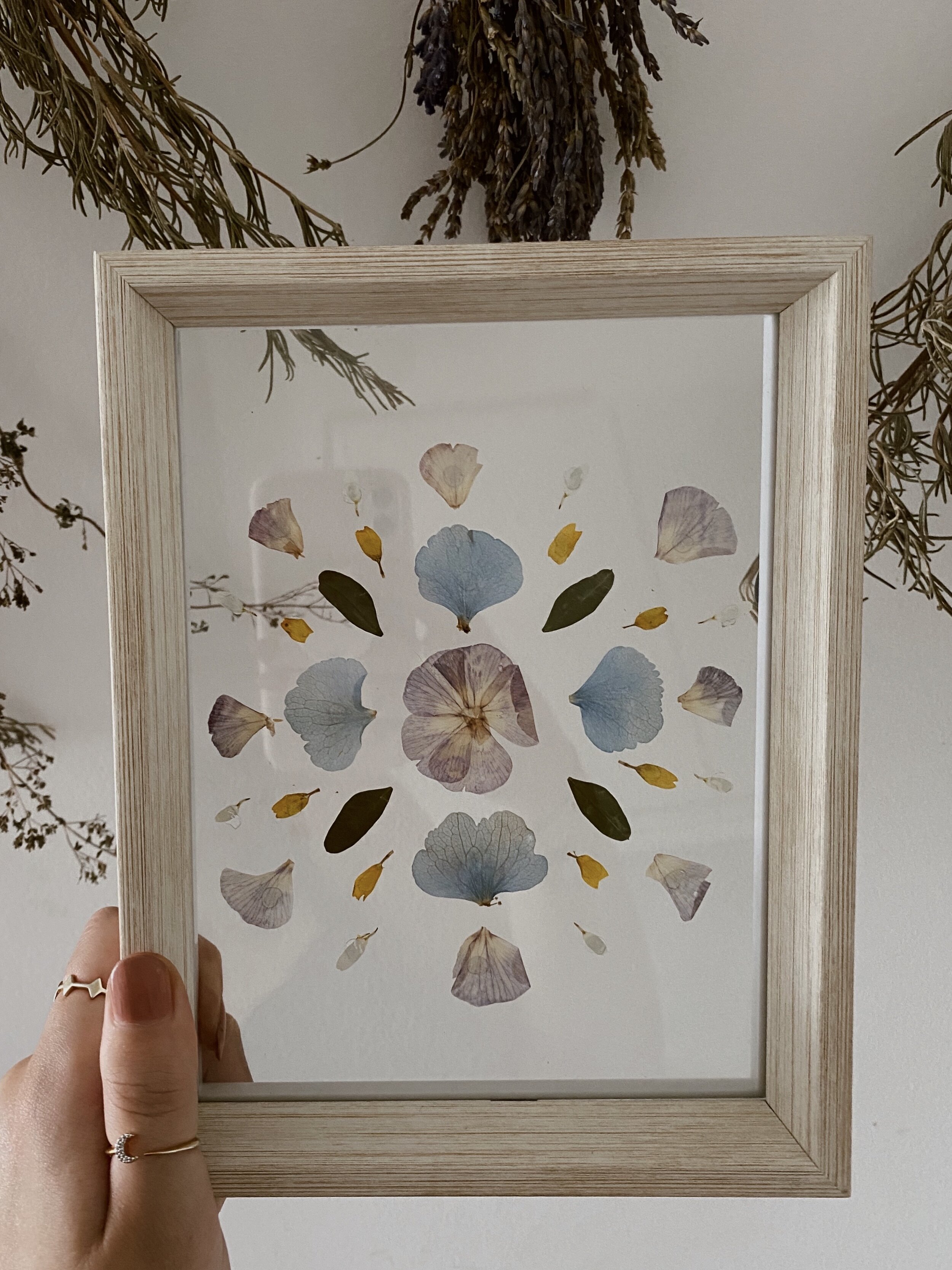 Pressed Botanical // 003