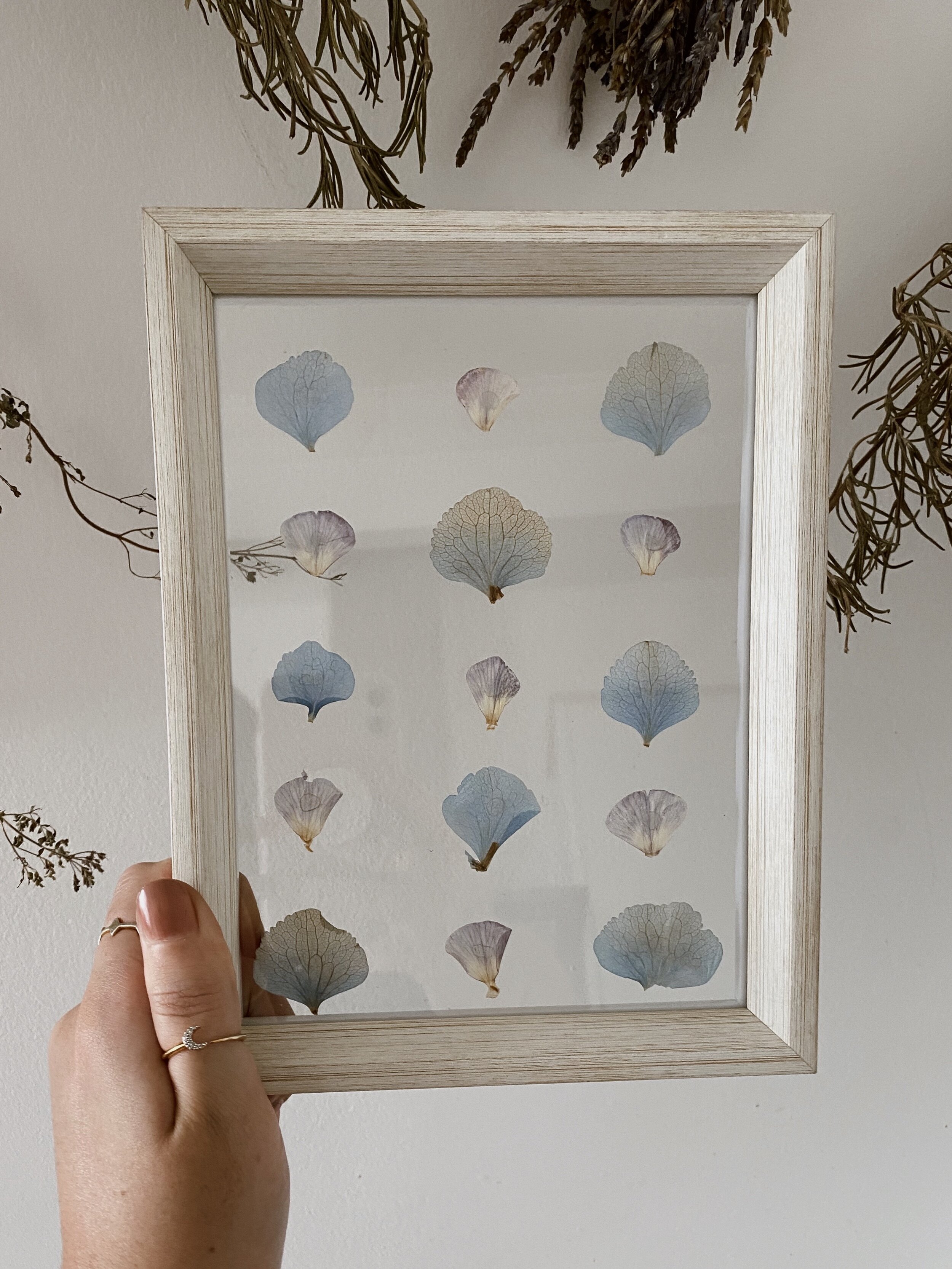 Pressed Botanical // 004