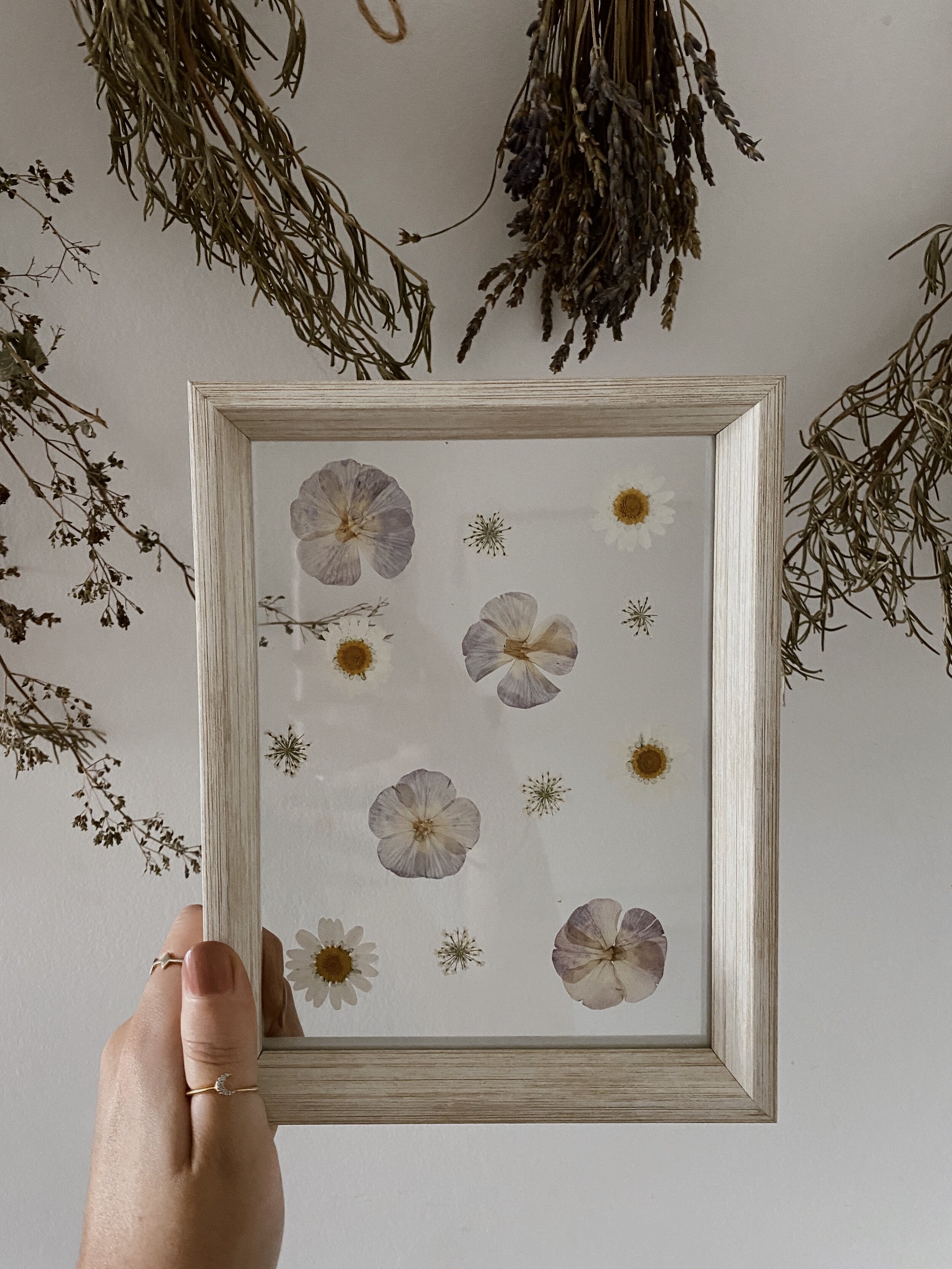 Pressed Botanical // 008