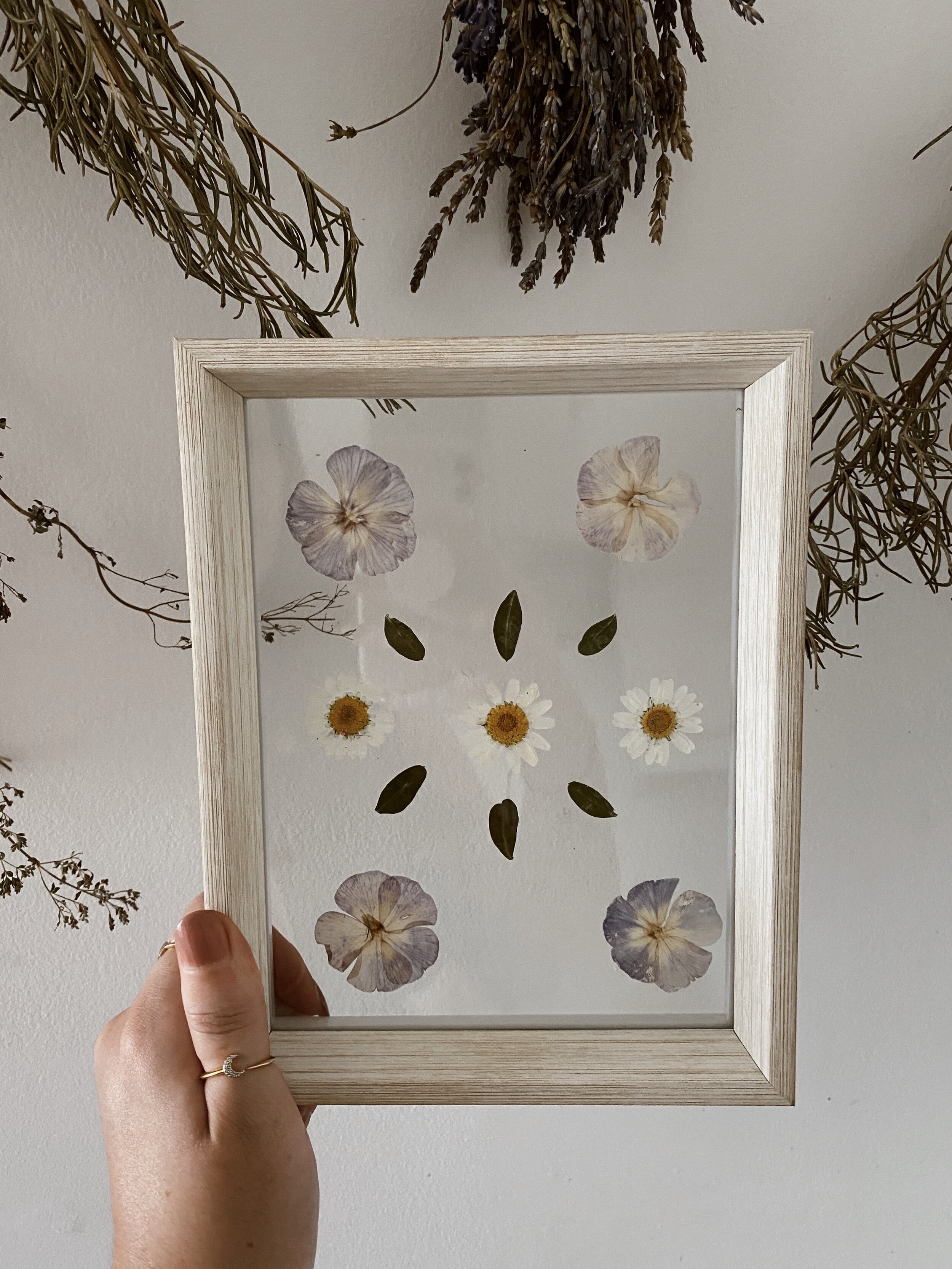 Pressed Botanical // 009