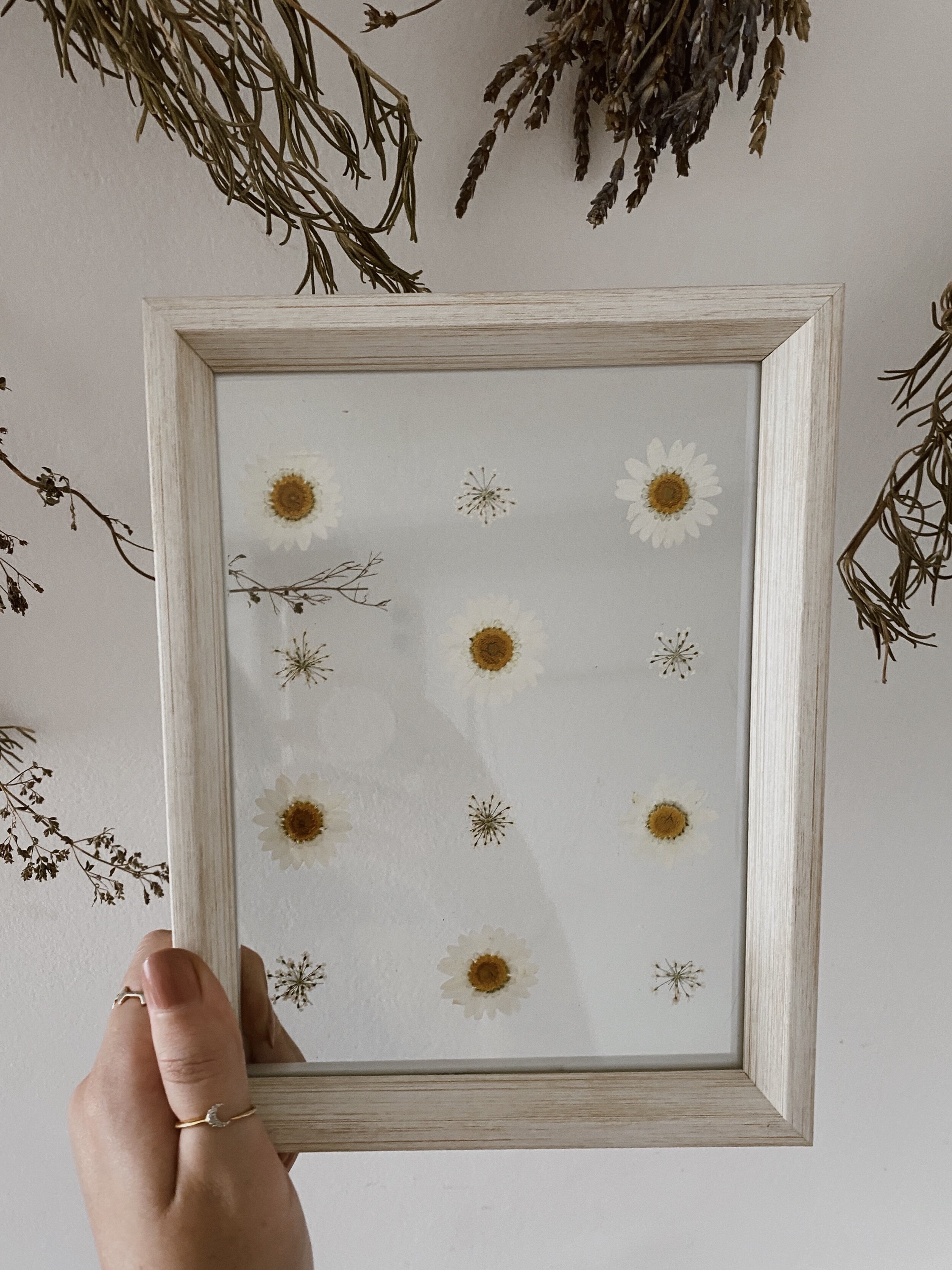 Pressed Botanical // 010