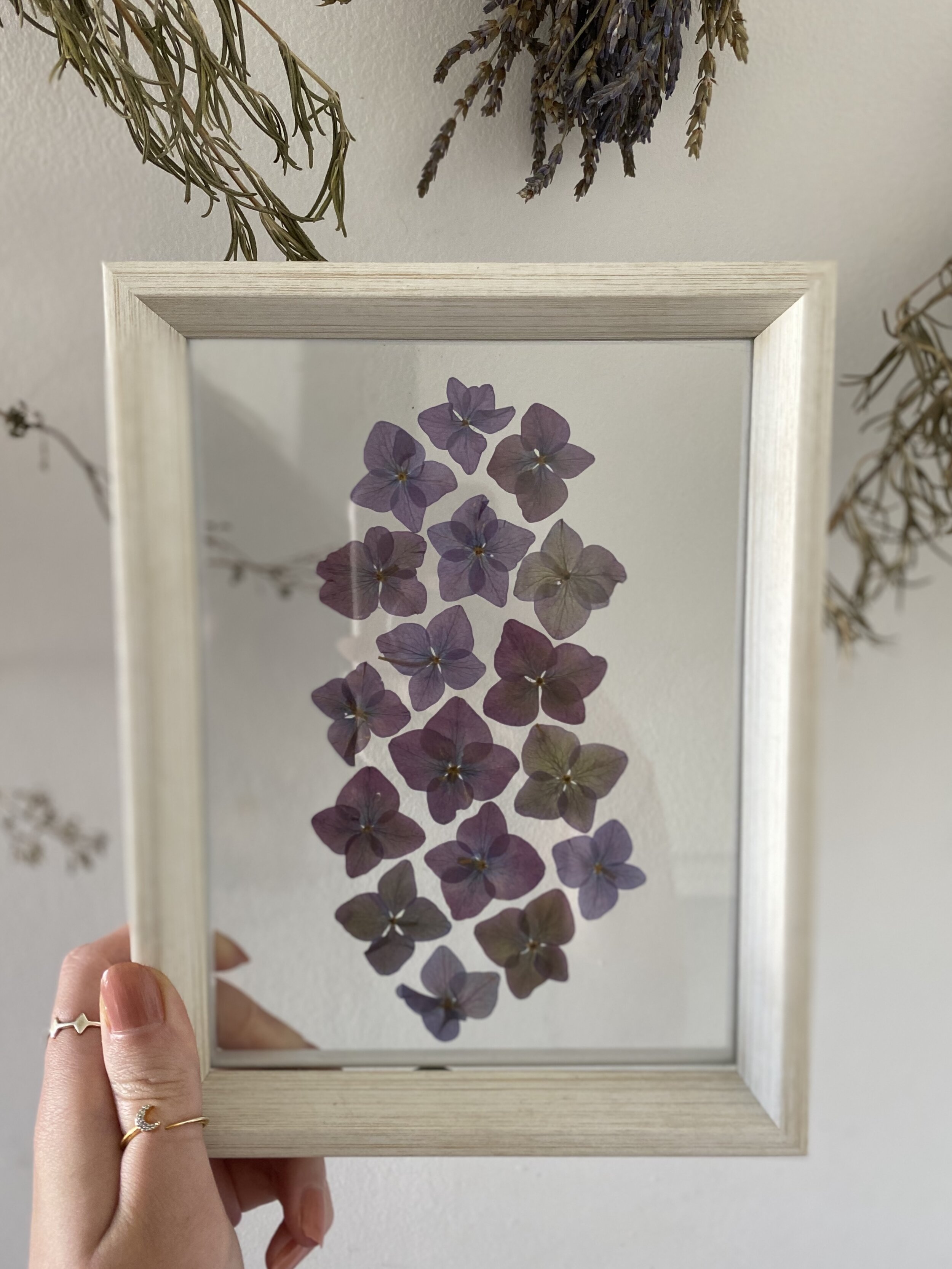 Pressed Botanical // 011