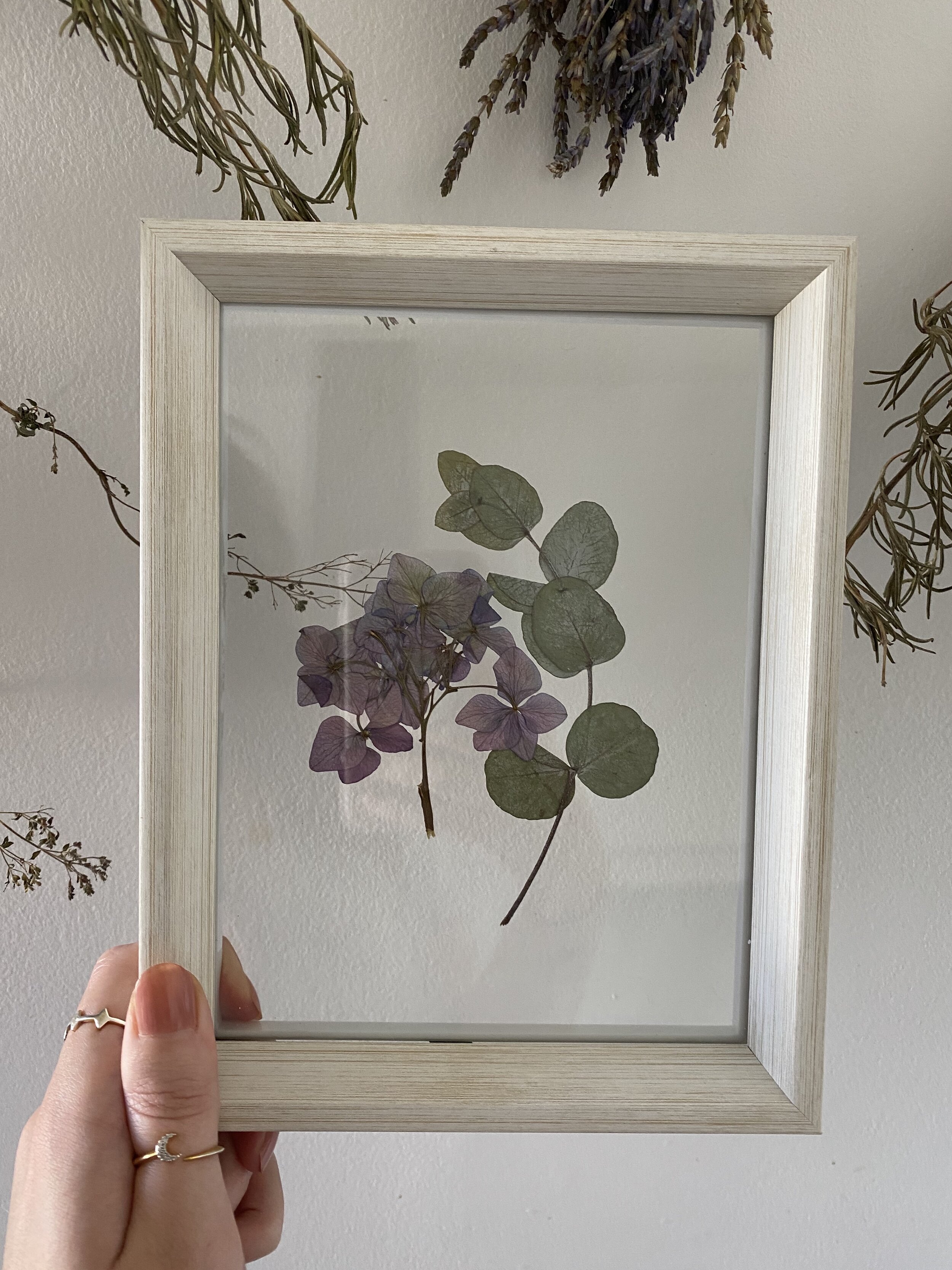 Pressed Botanical // 012