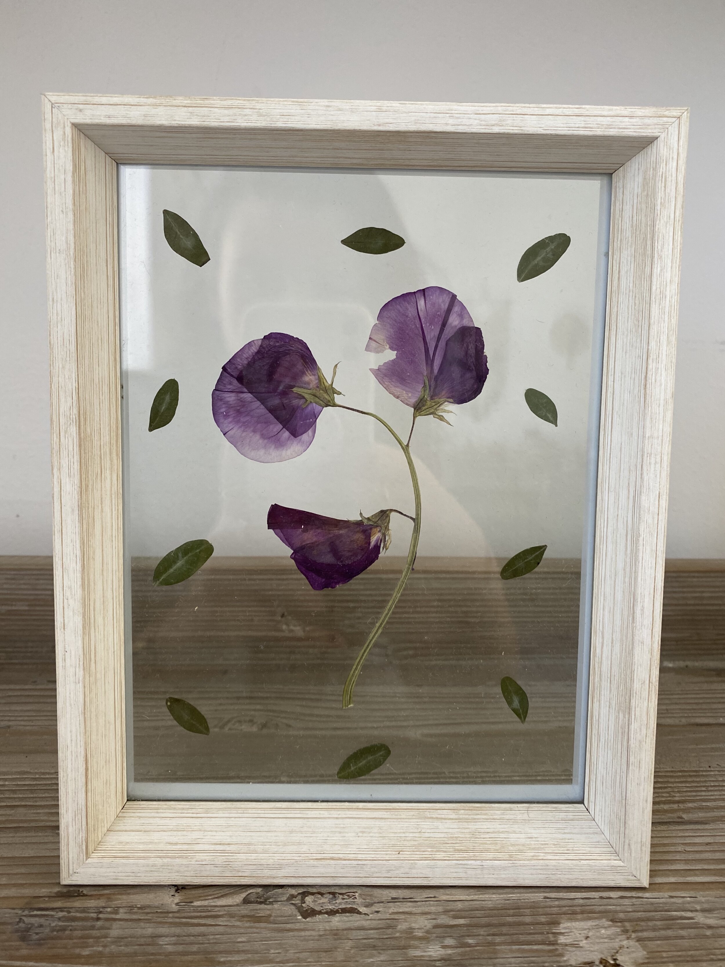 Pressed Botanical // 013