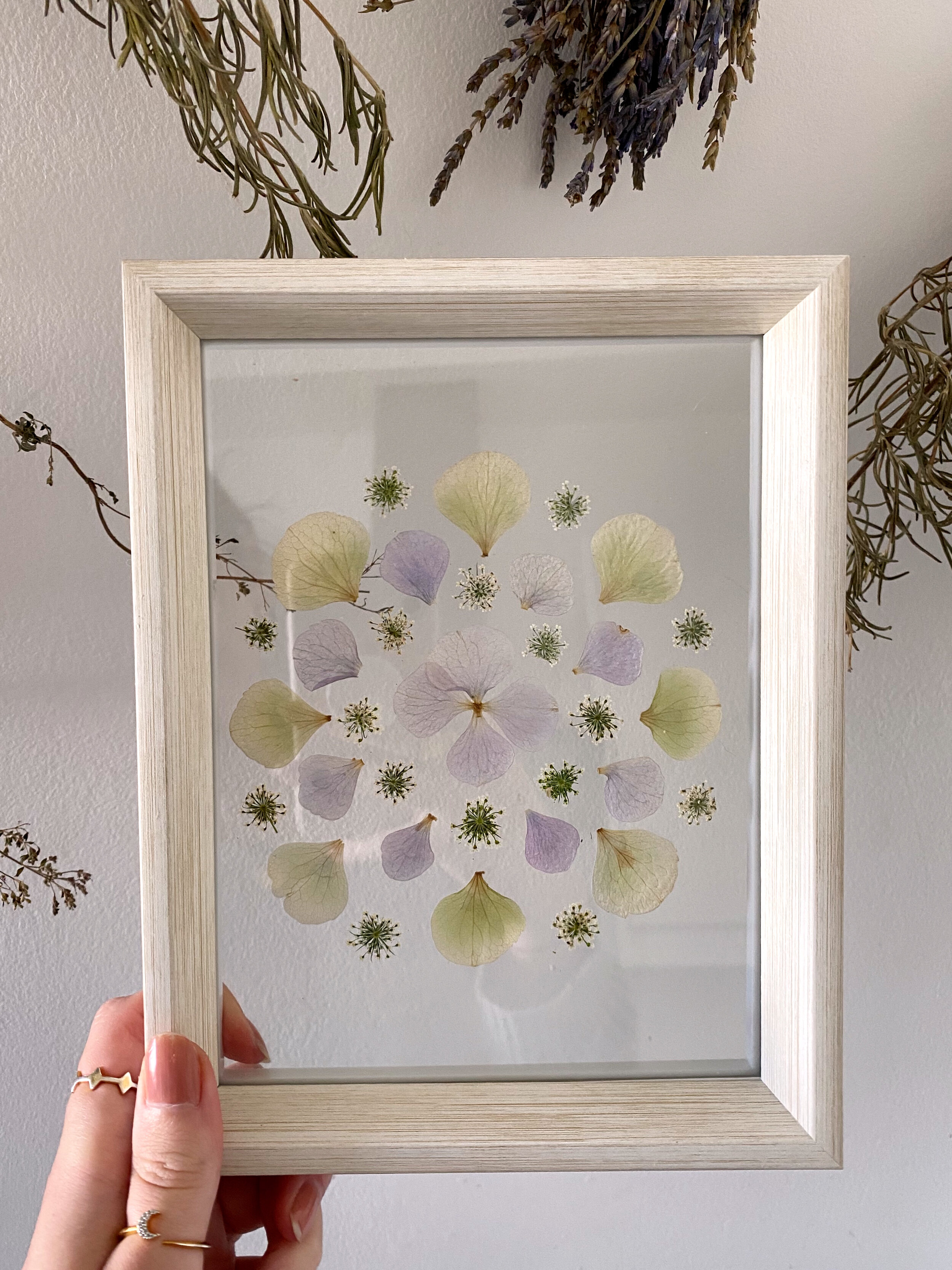 Pressed Botanical // 005