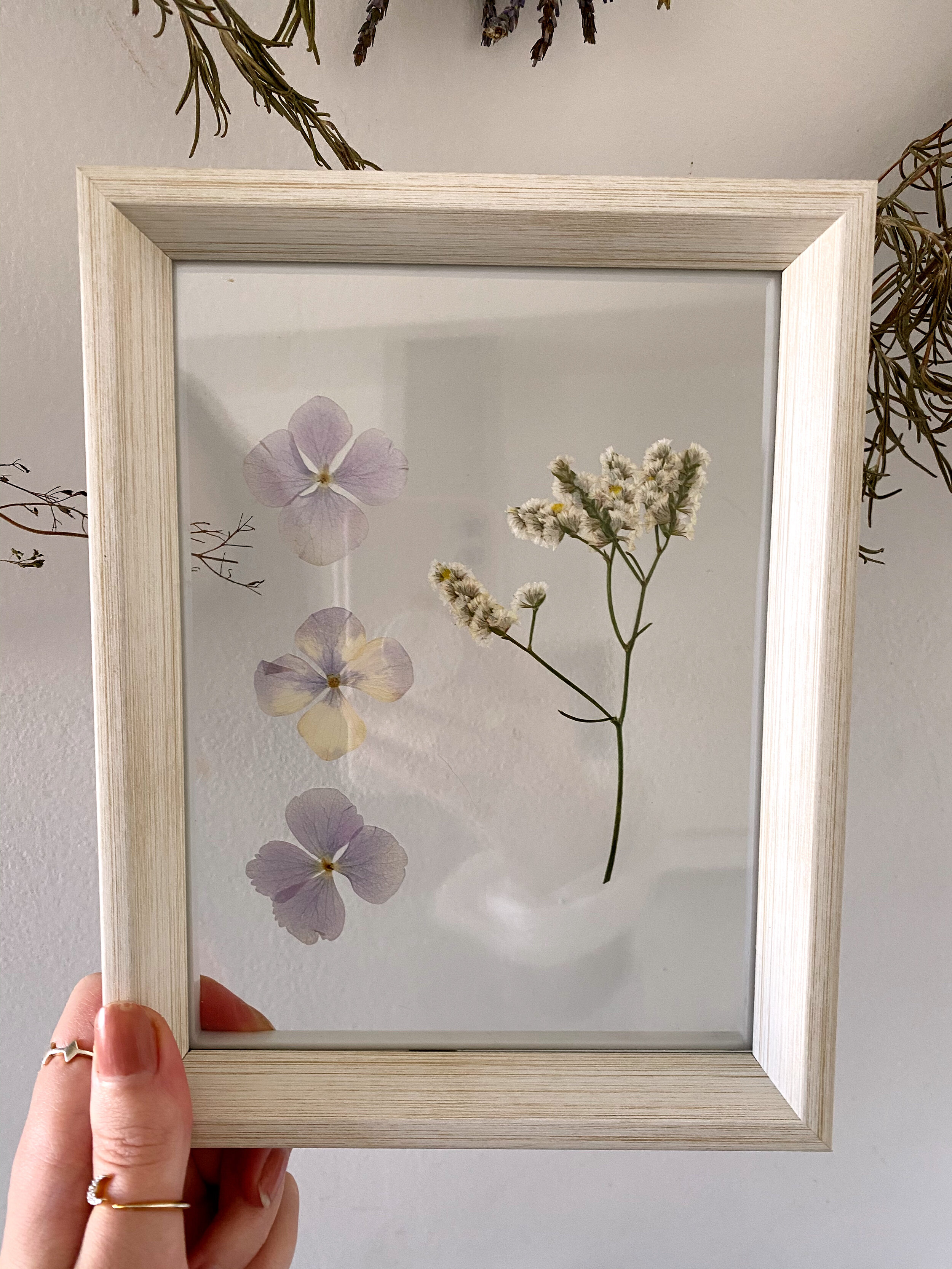 Pressed Botanical // 006