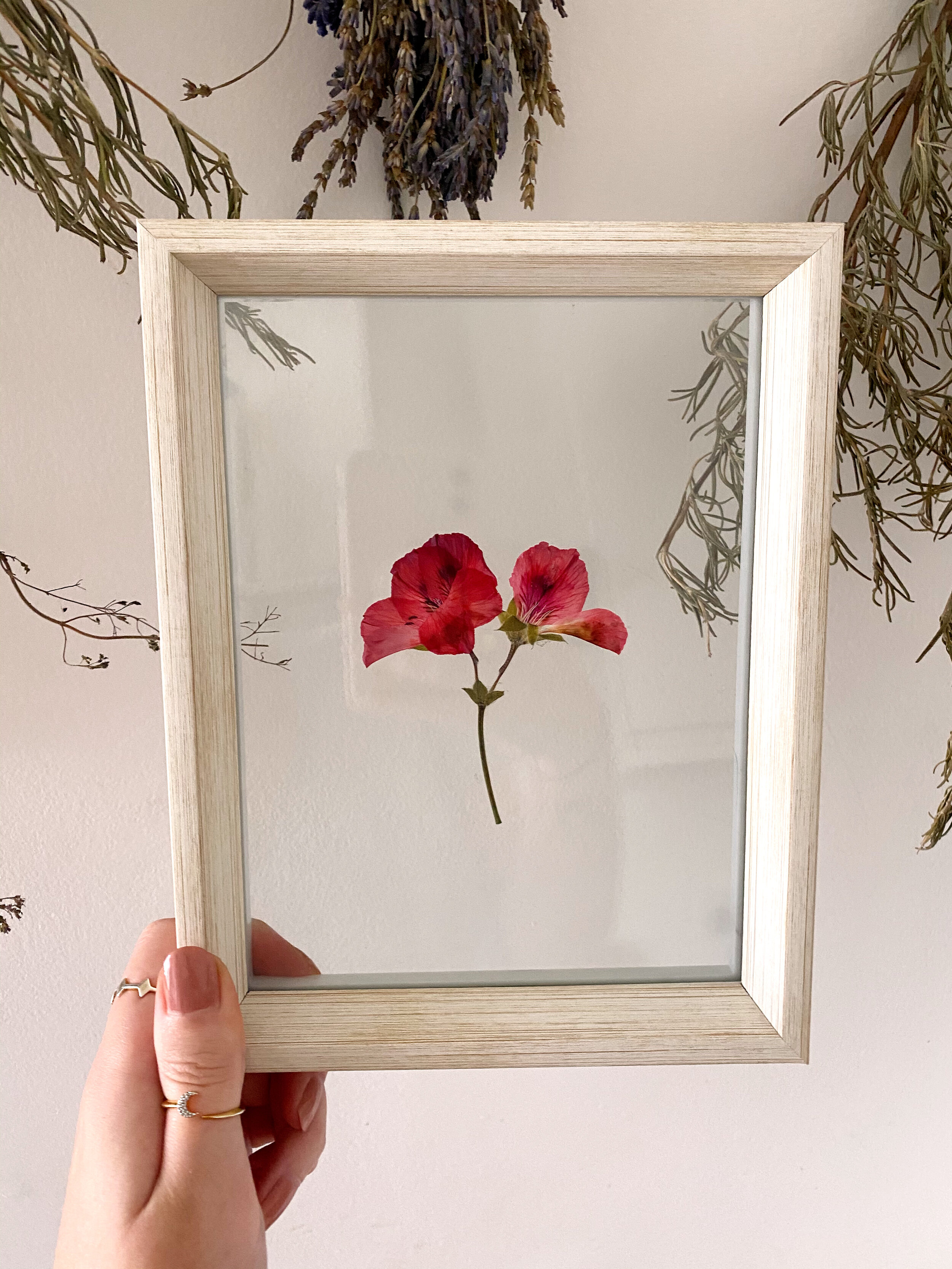 Pressed Botanical // 002