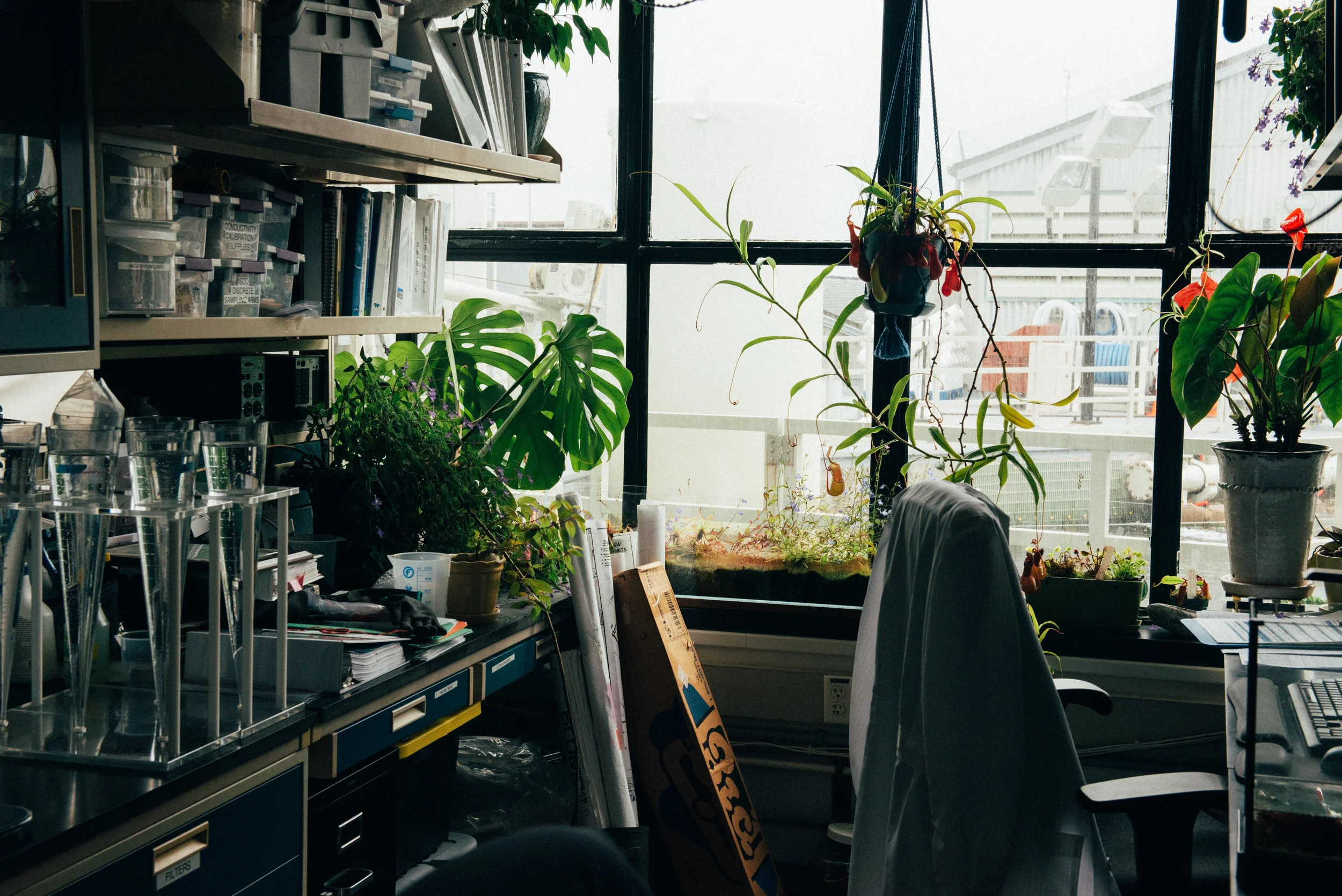 office with plants and scientific equipment.jpg