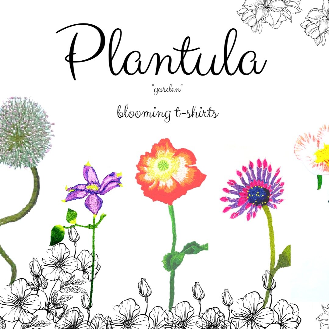 Plantula