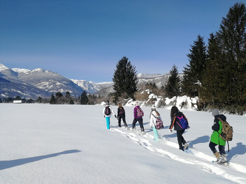 snowshoeing bohinj_web.jpg